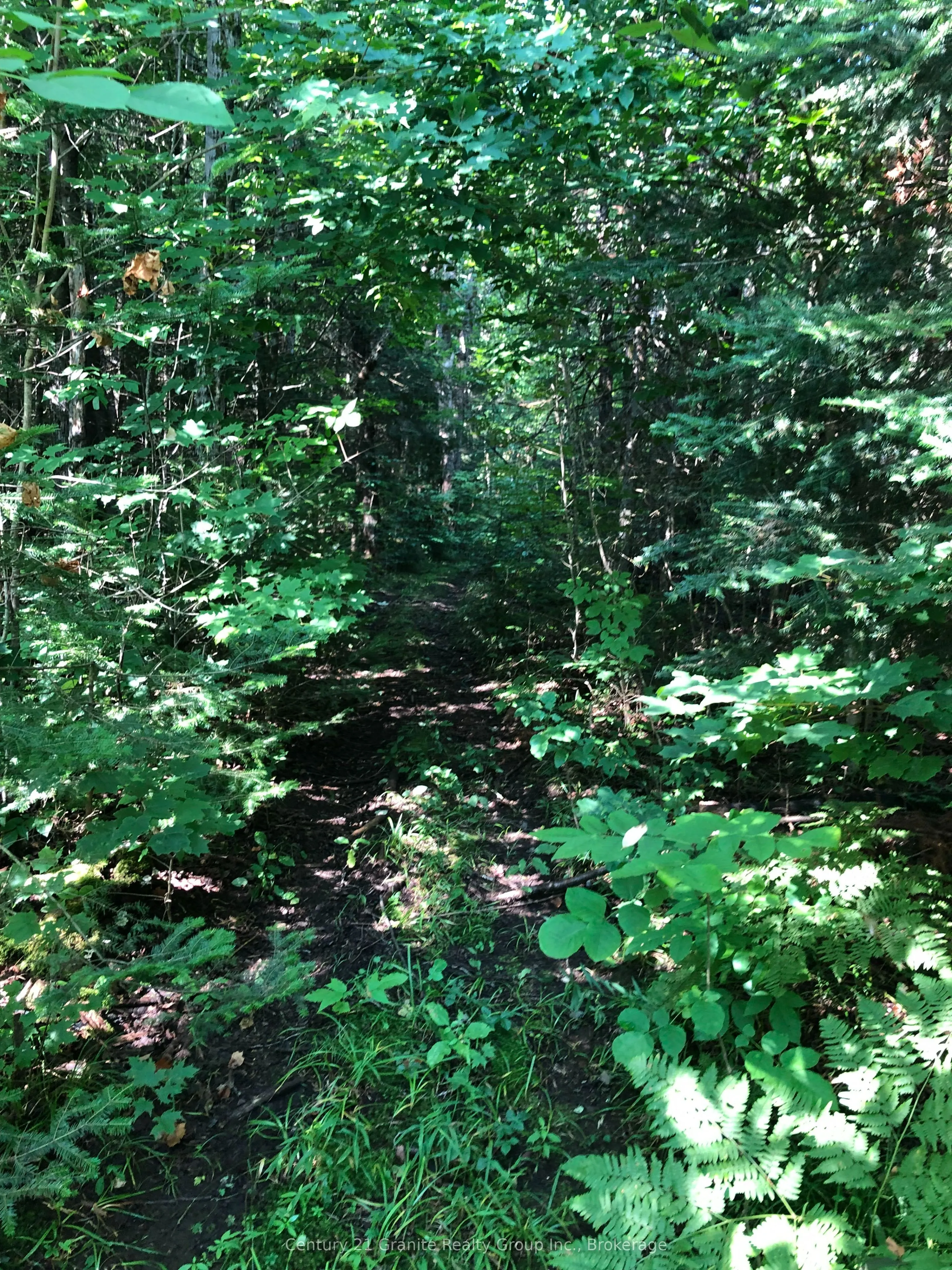 LOT 6-10 MOON Road