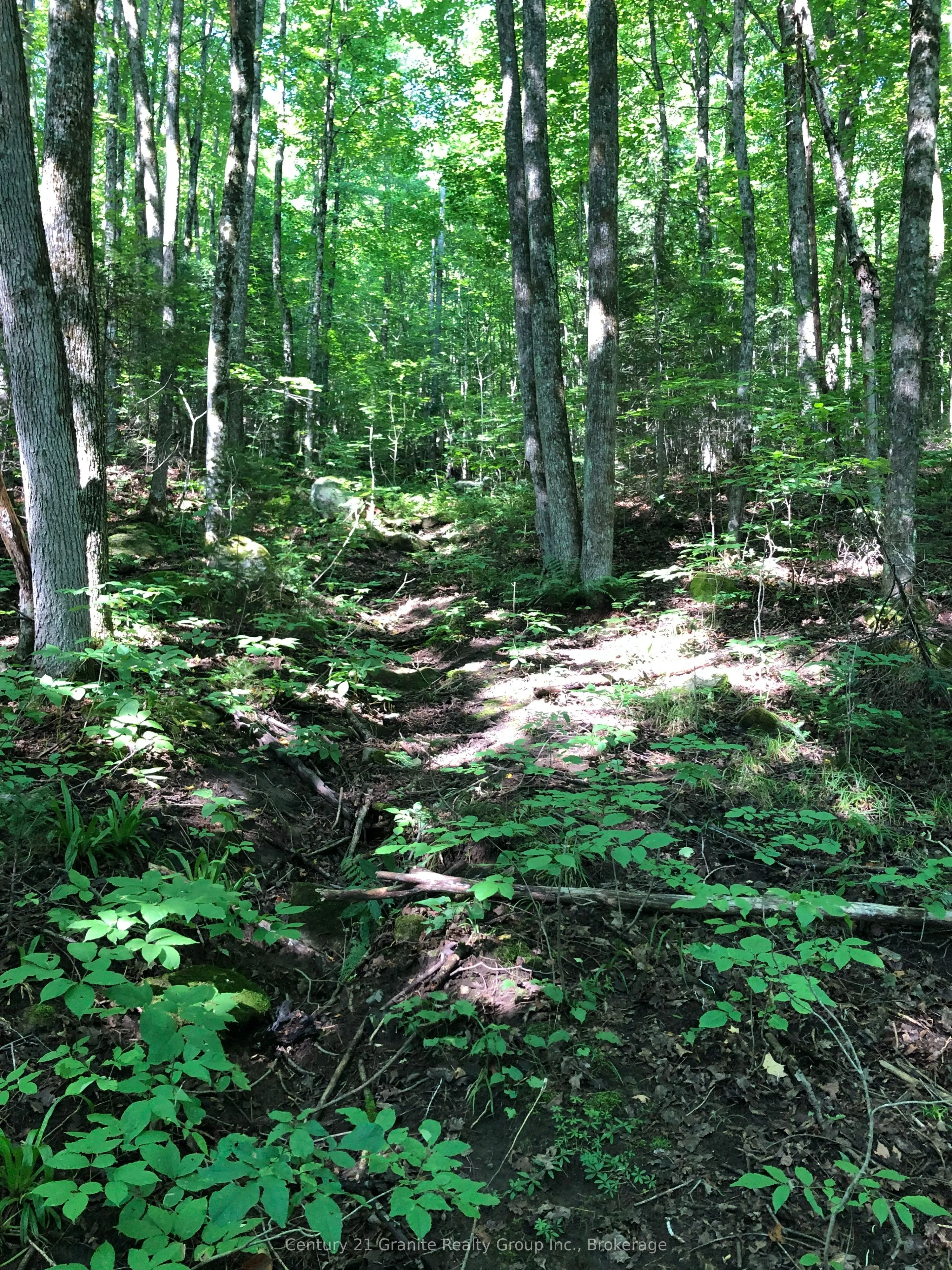 LOT 6-10 MOON Road