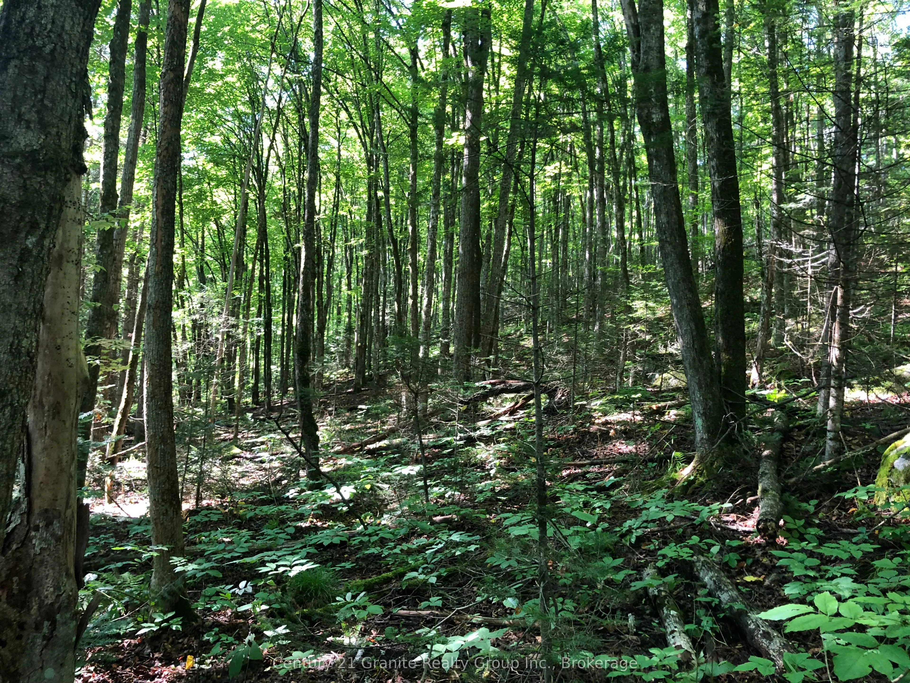 LOT 6-10 MOON Road
