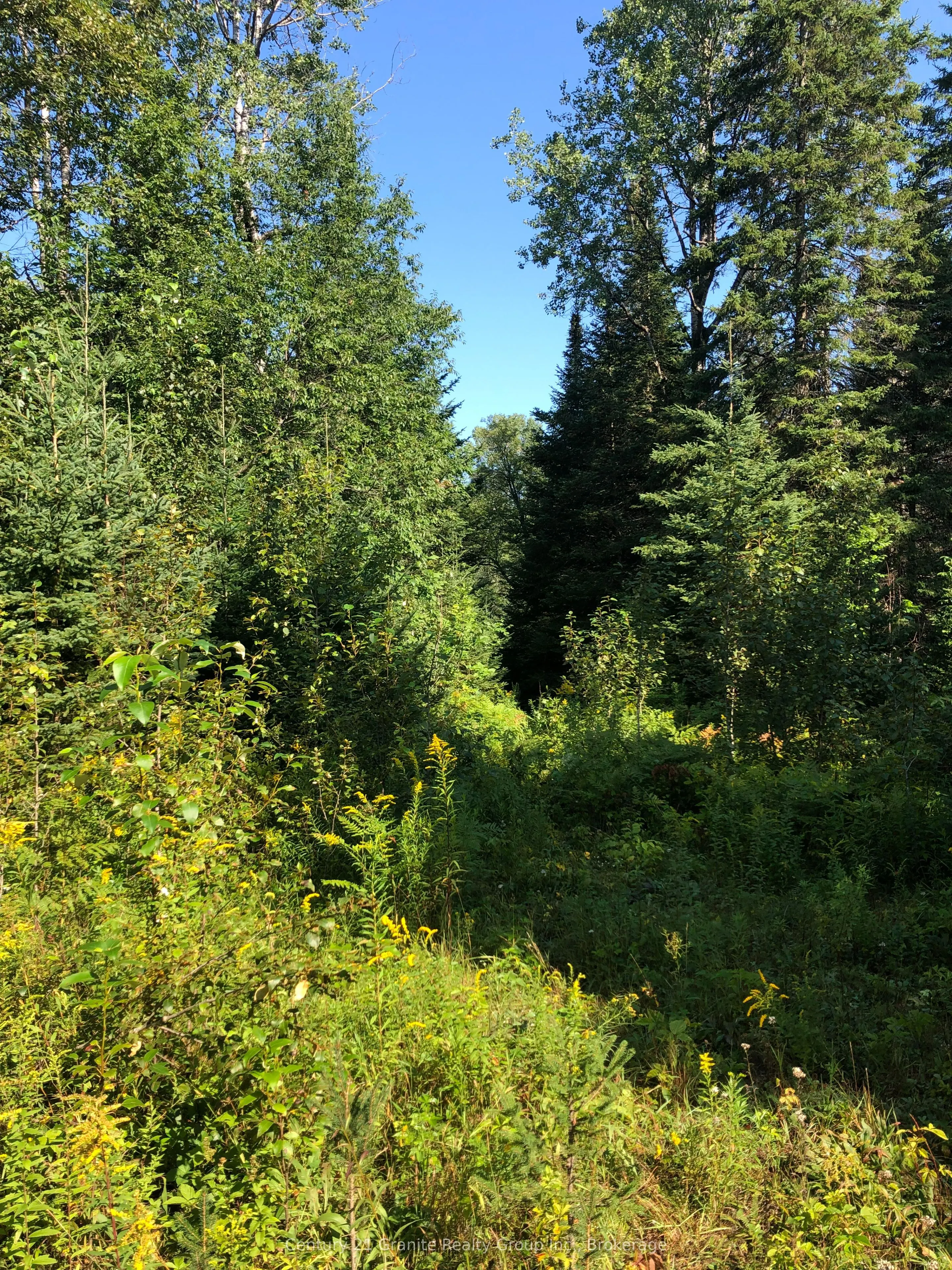 LOT 6-10 MOON Road