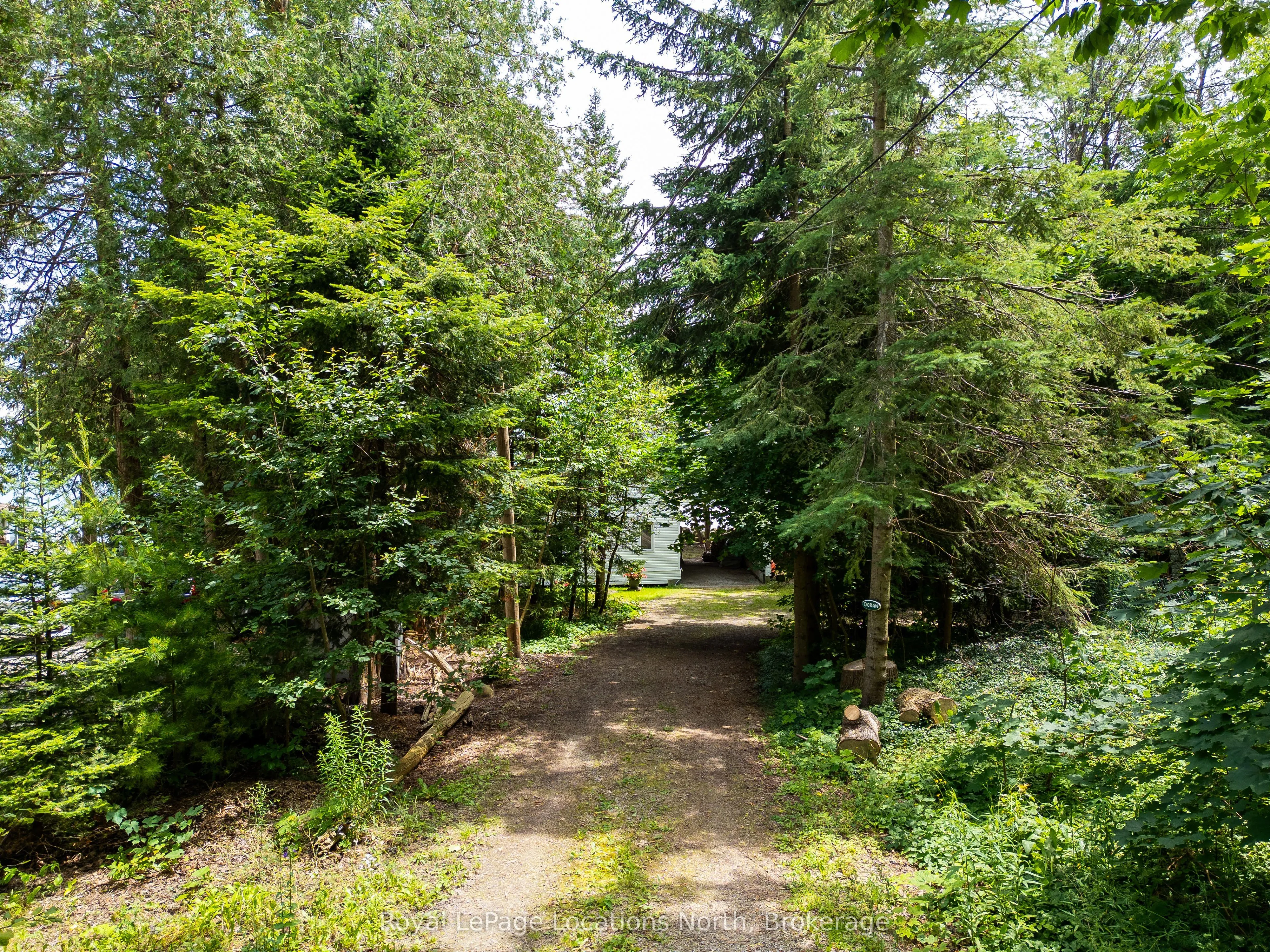 313 Cedar Avenue