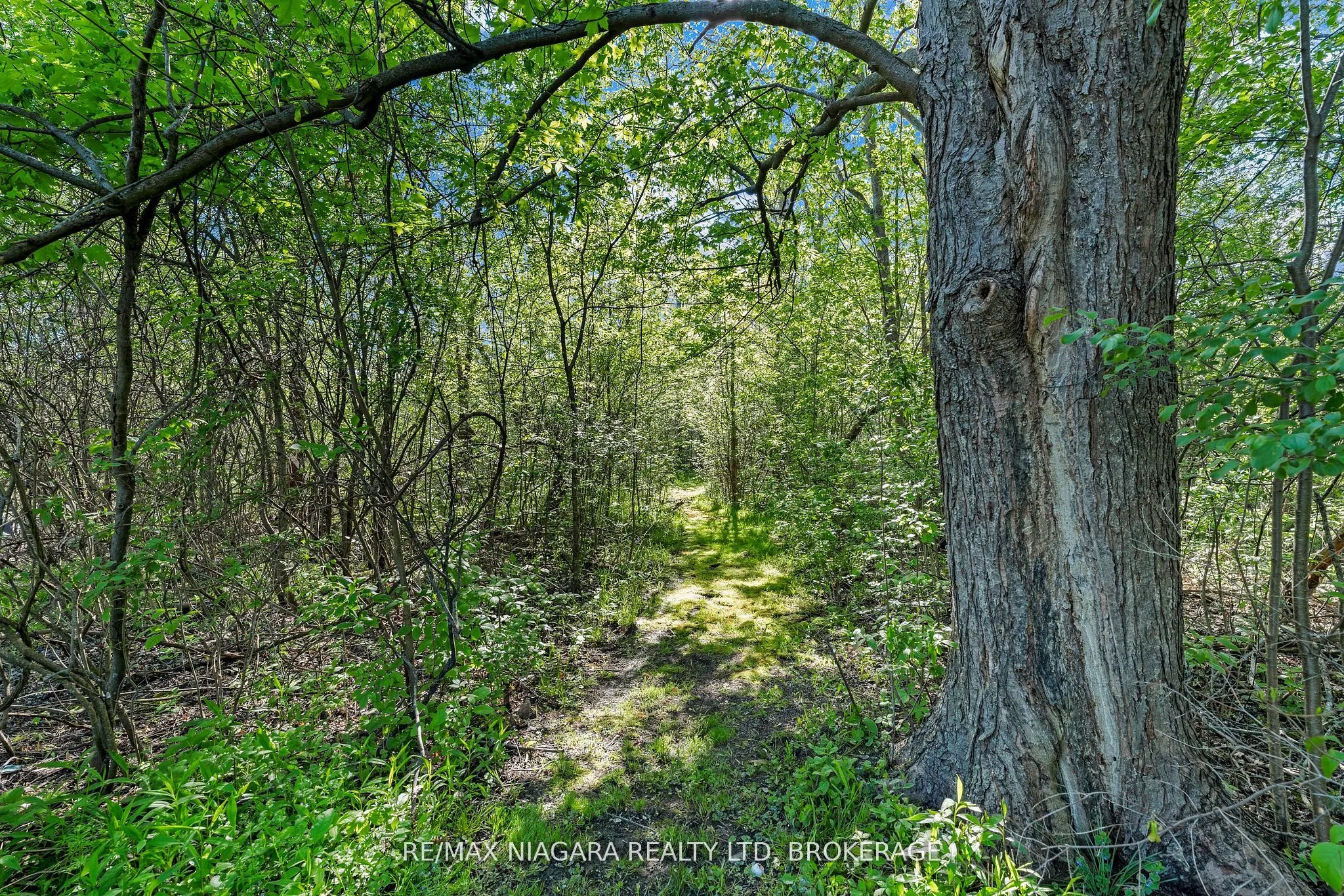 958 SILVER BAY Road