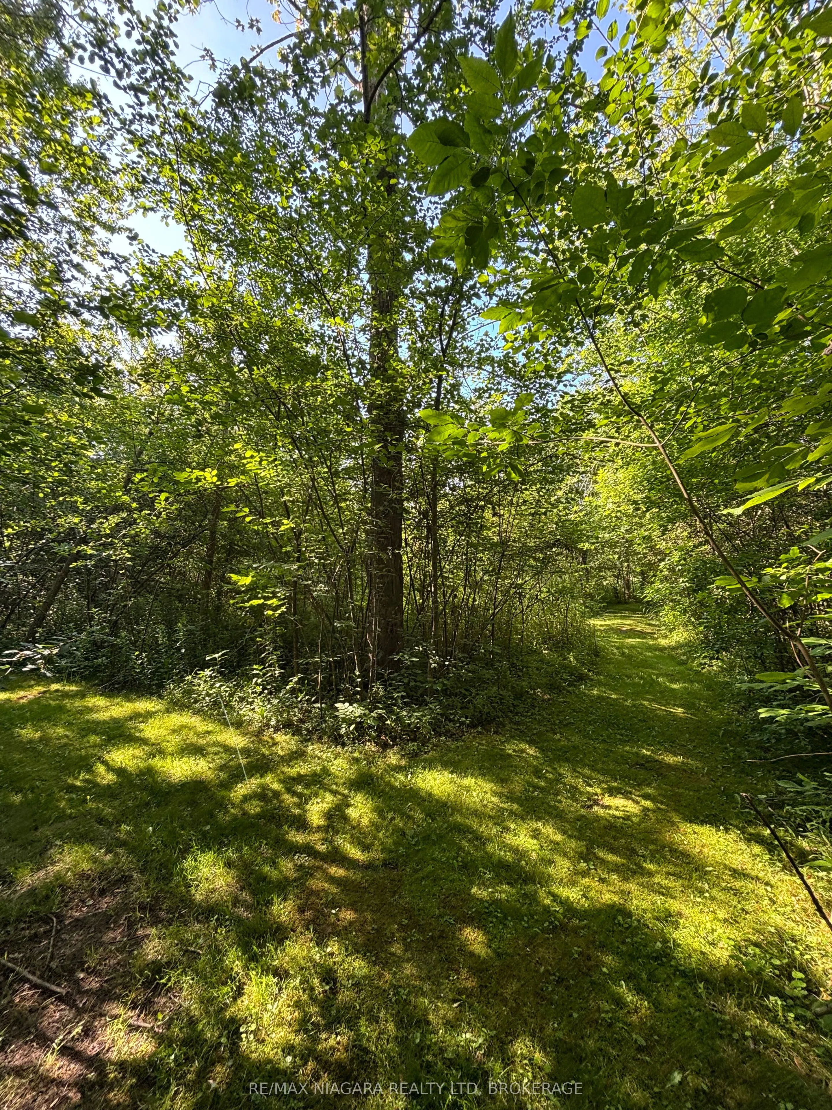 958 SILVER BAY Road