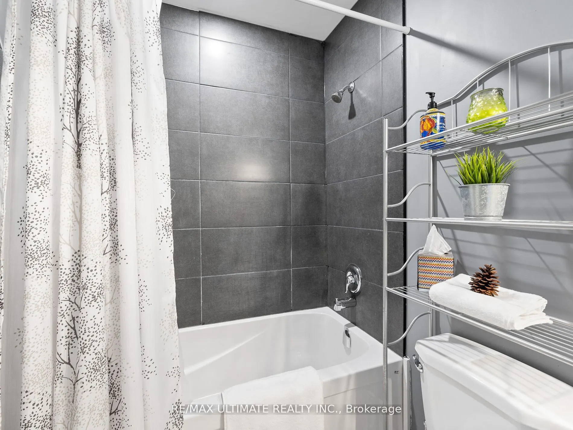252 Bertie Street, #3