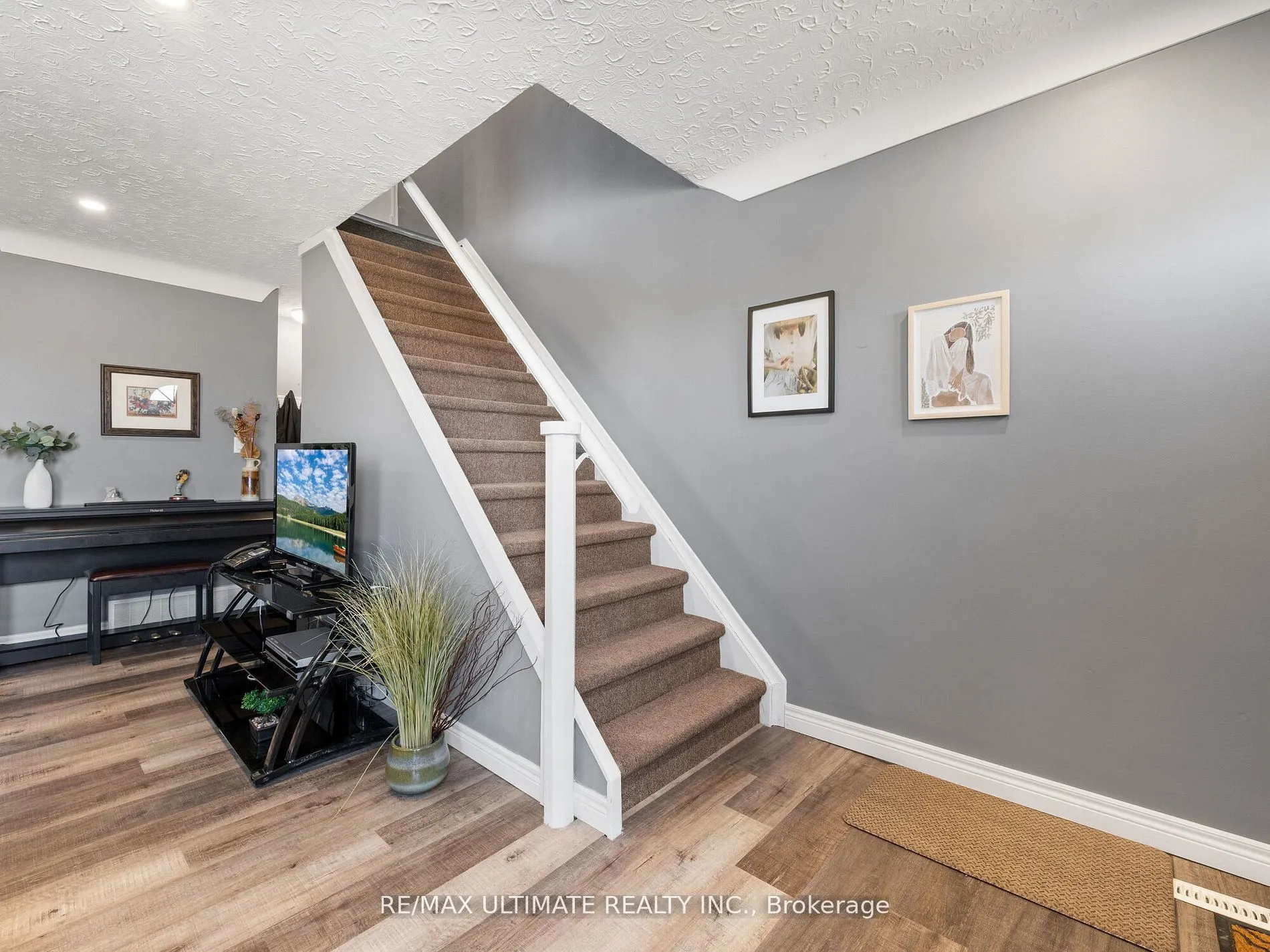 252 Bertie Street, #3