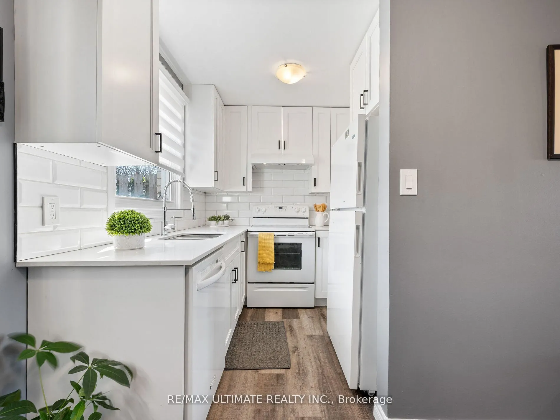252 Bertie Street, #3
