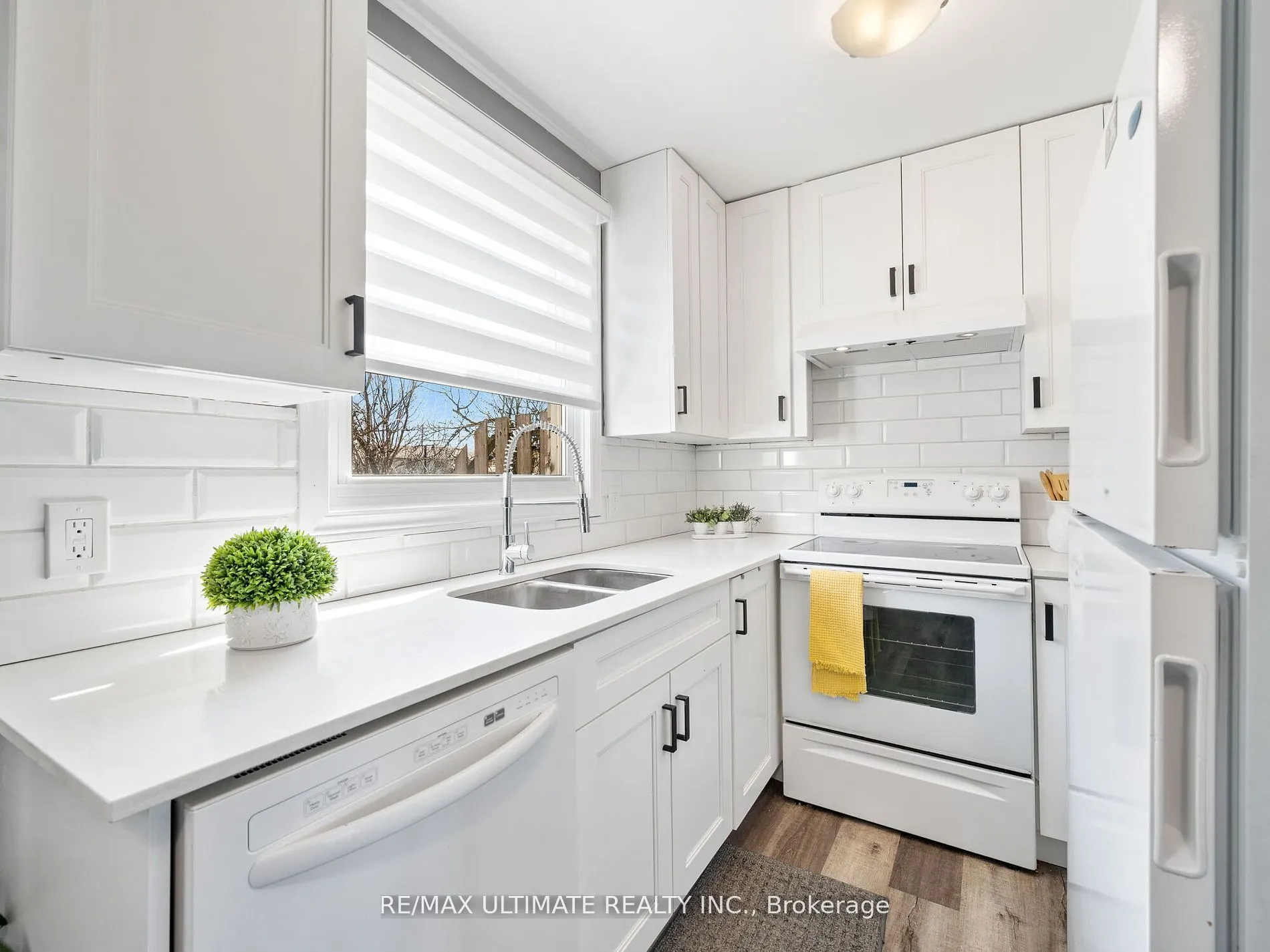 252 Bertie Street, #3