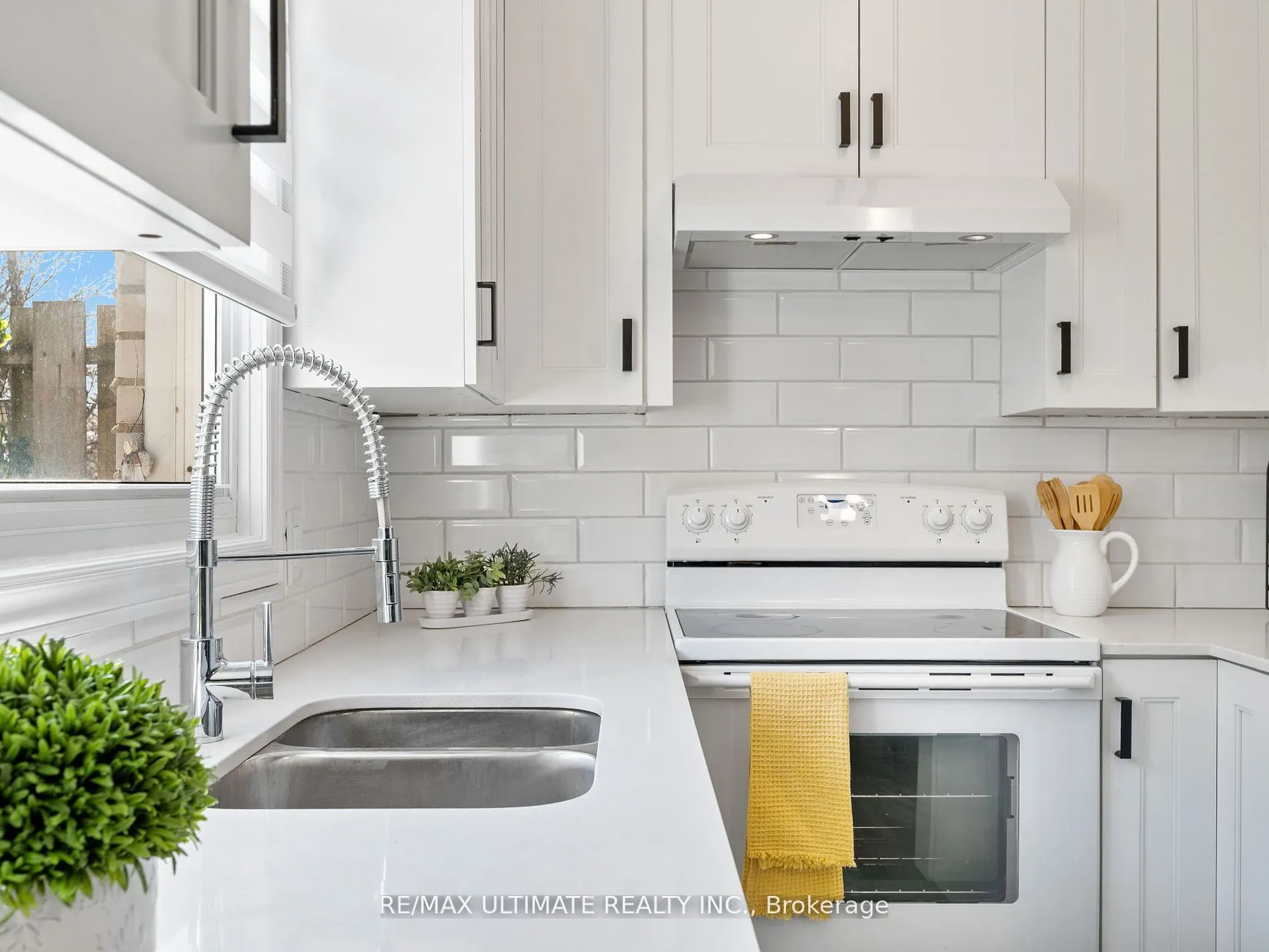252 Bertie Street, #3