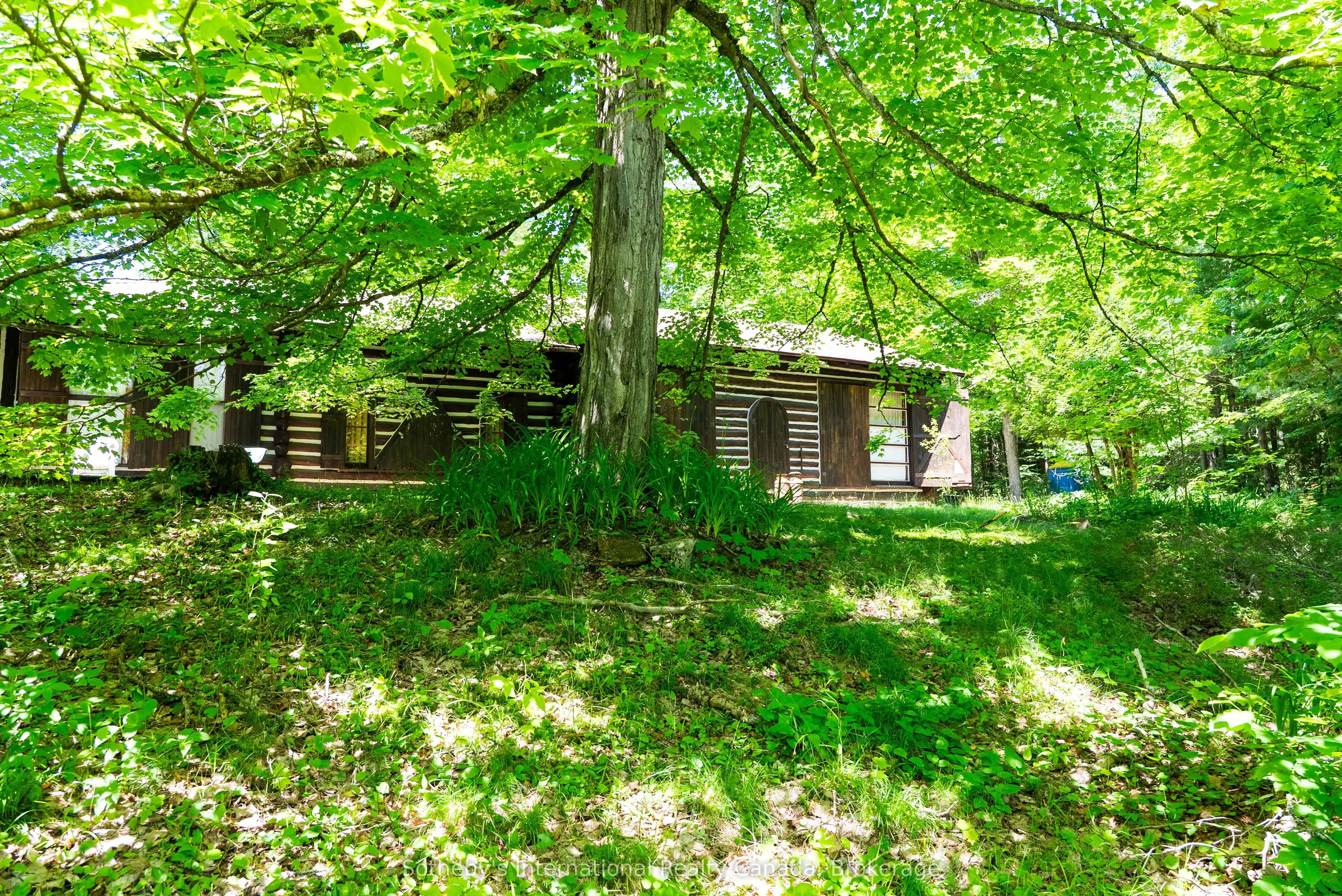 2447 South Portage Road