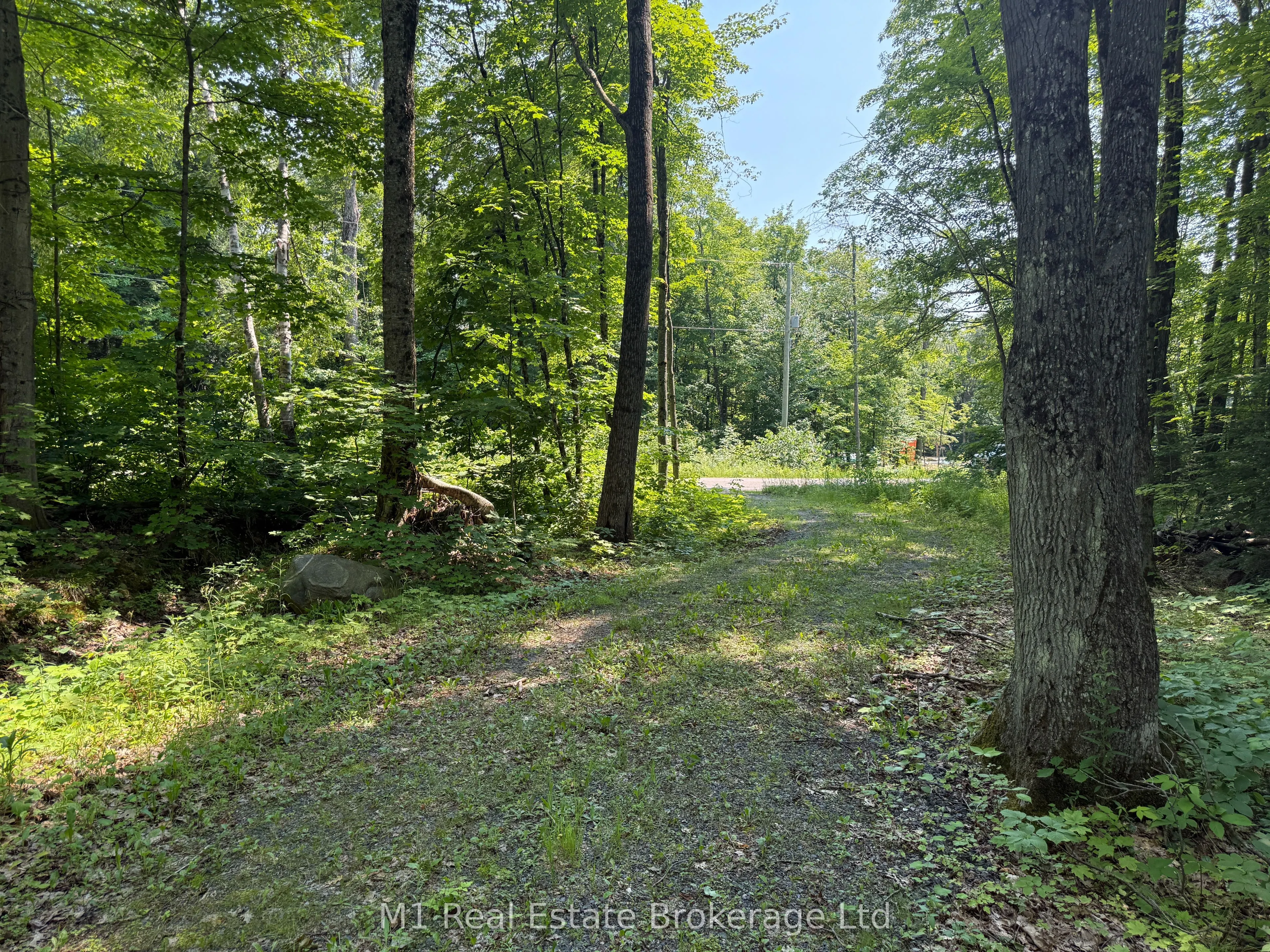63 North Sandy Plains Road N