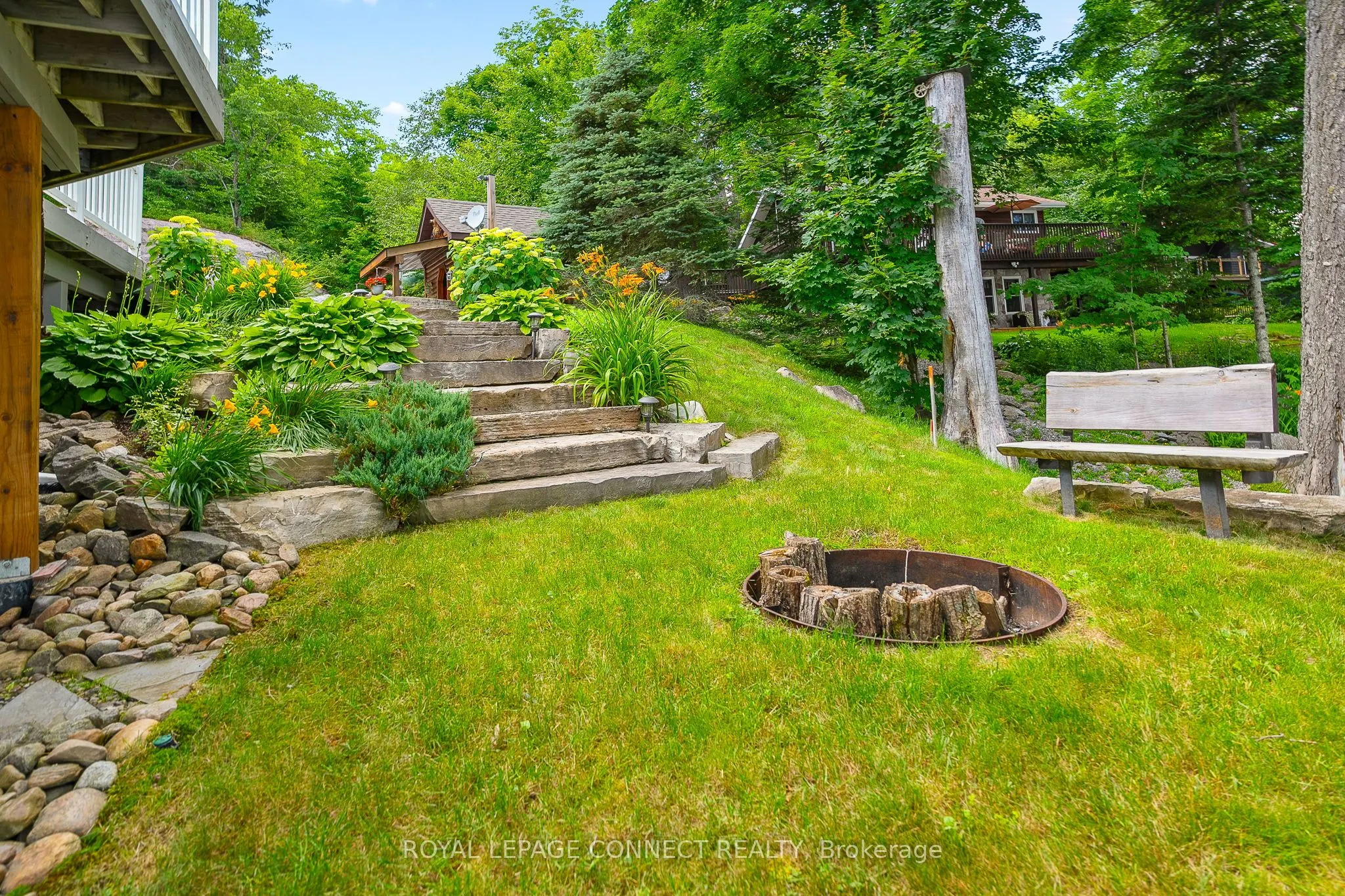1019 Carnation Lane