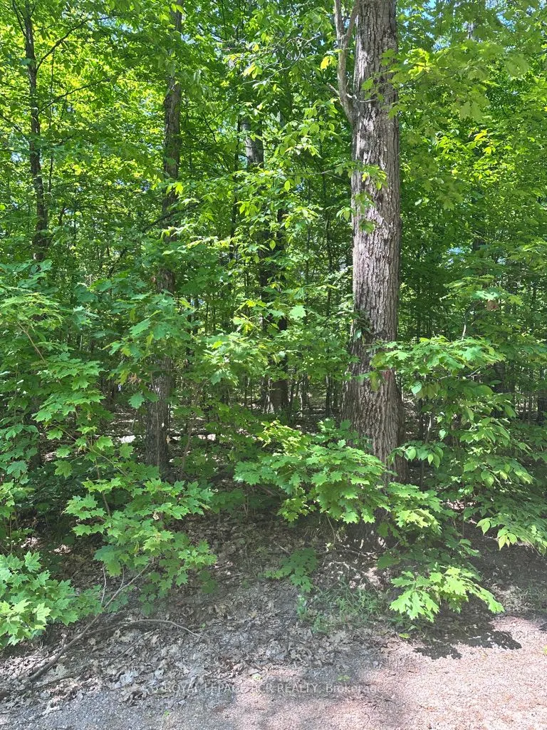 Pt Lot 6 Con 10 Monmouth Madill Road