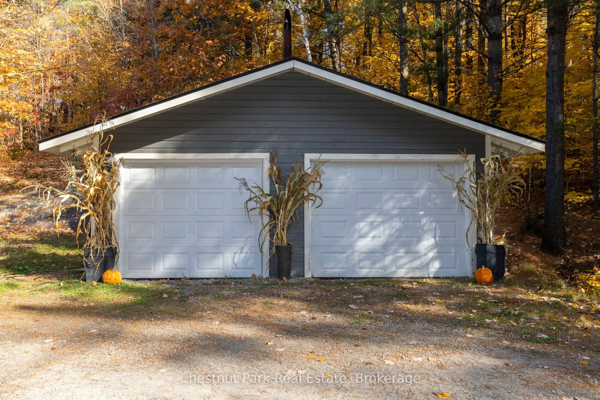1236 Butter & Egg Road