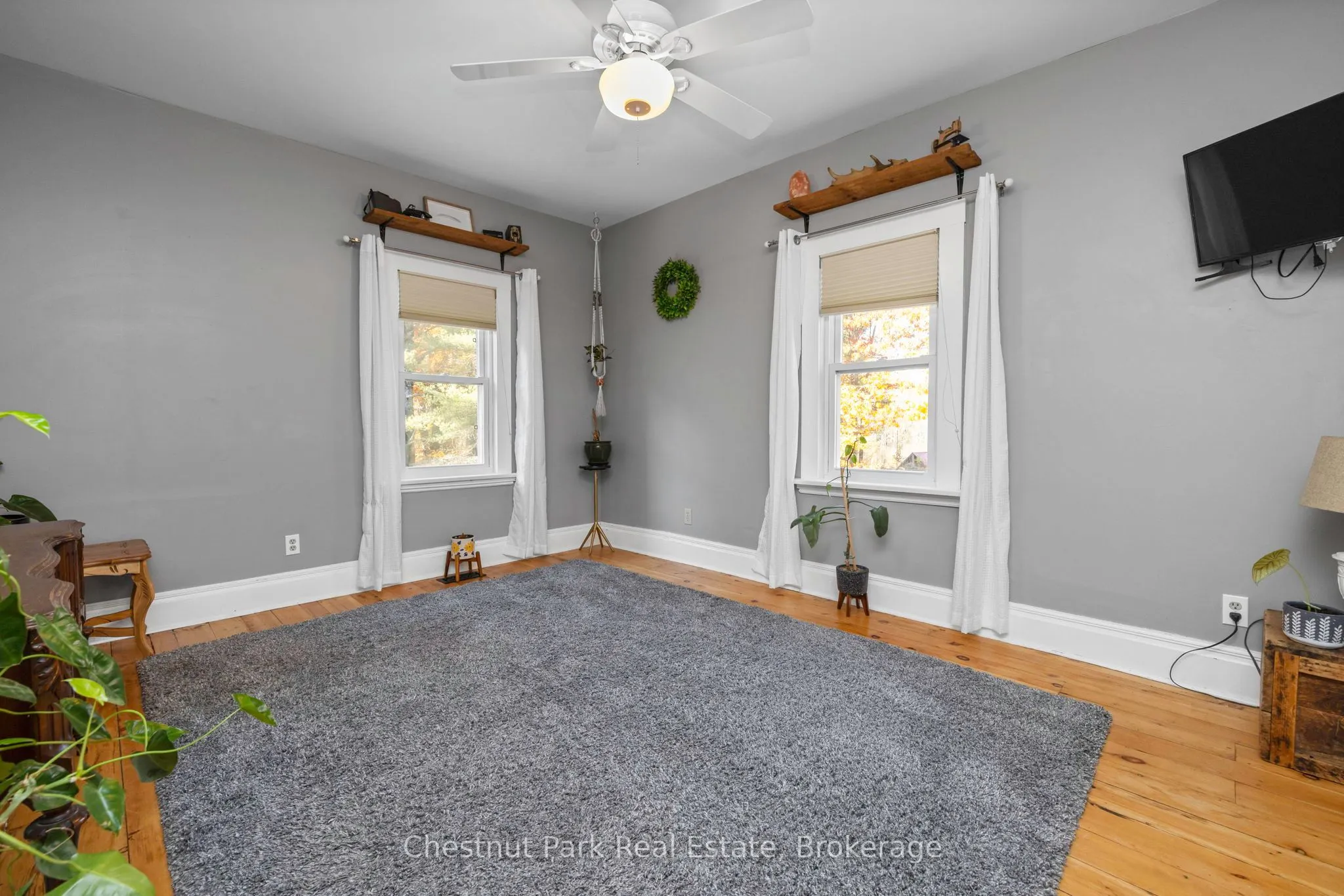 1236 Butter & Egg Road