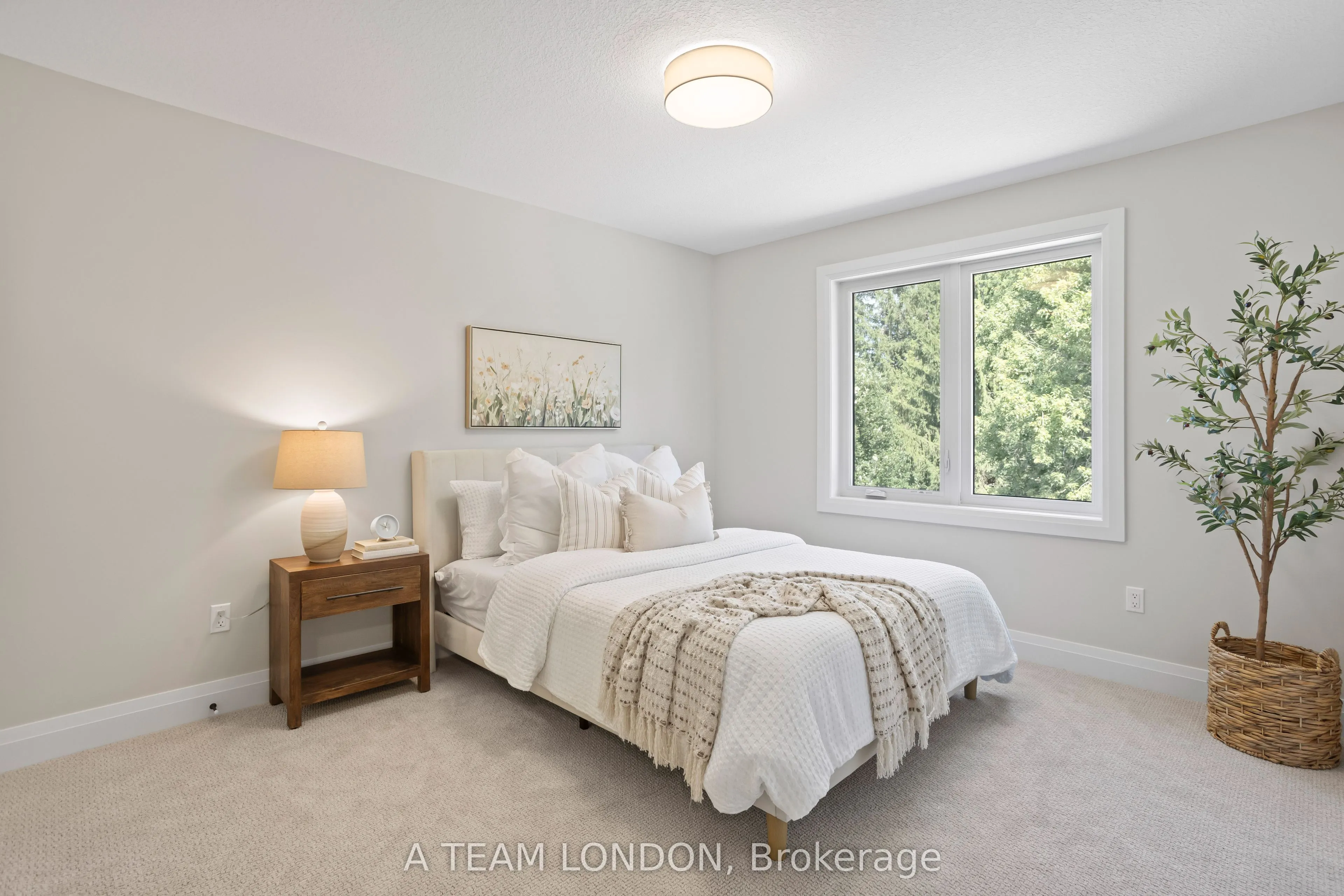 293 Ashford (lot2) Street