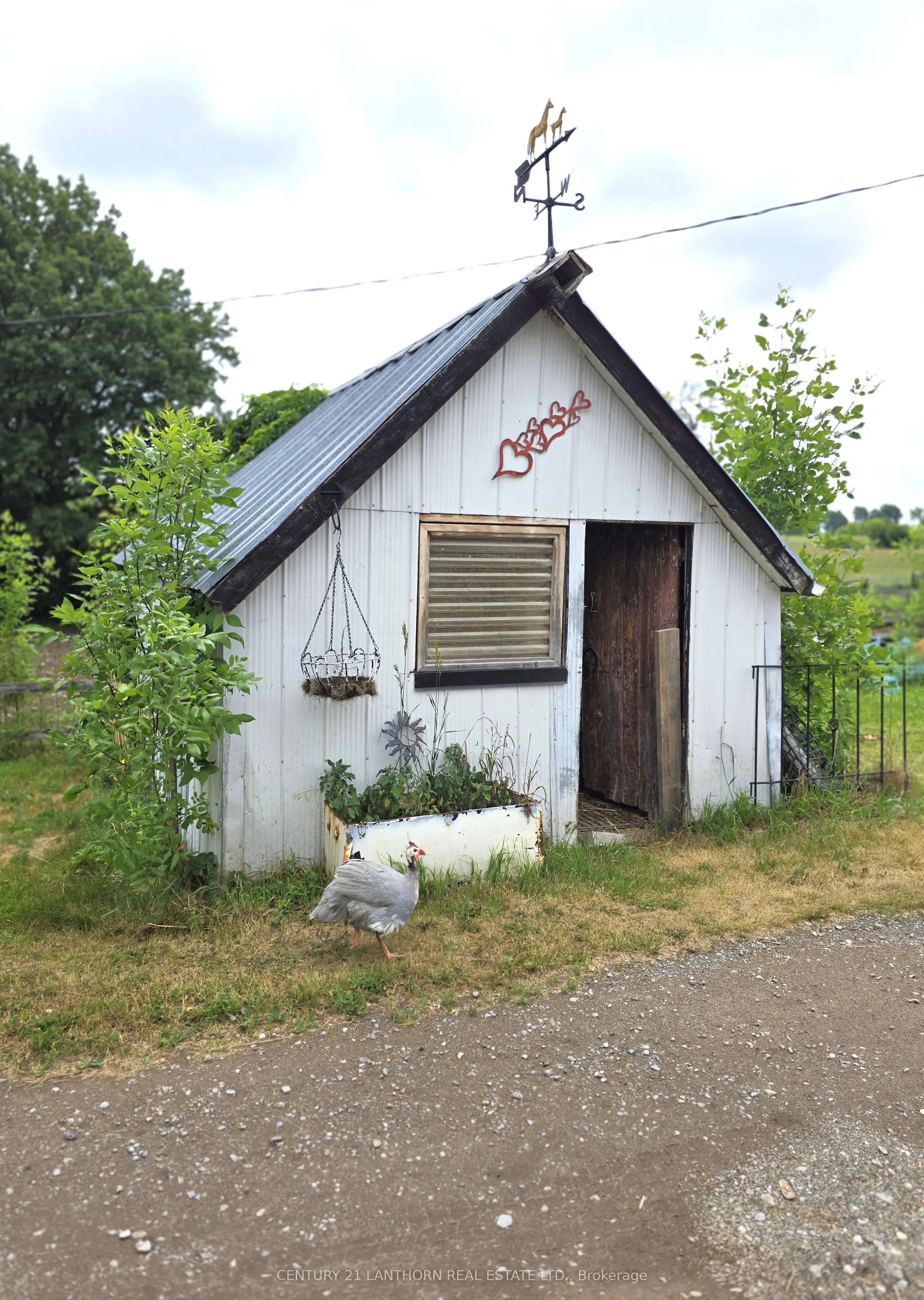 145 Mount Pleasant Road