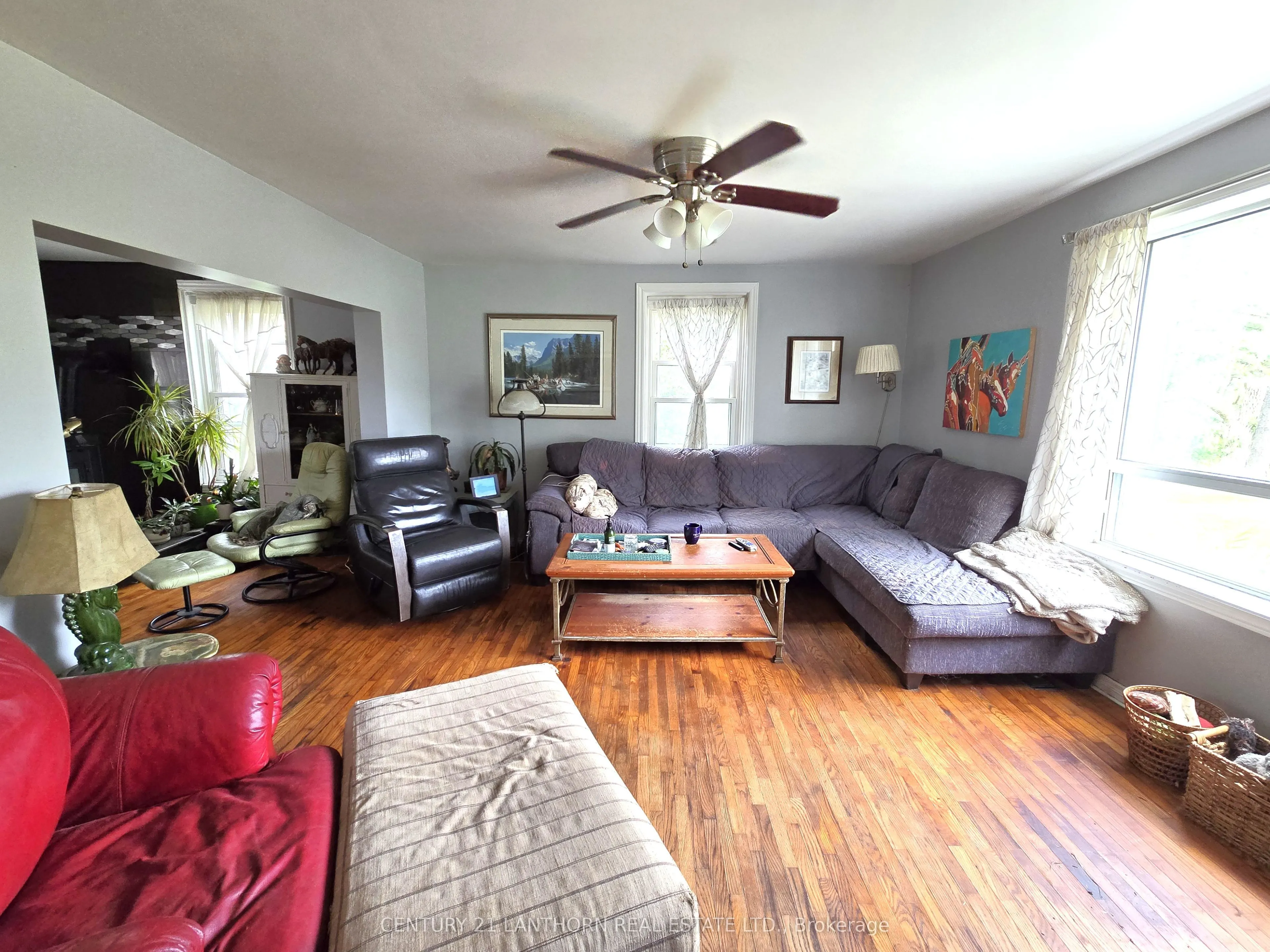 145 Mount Pleasant Road
