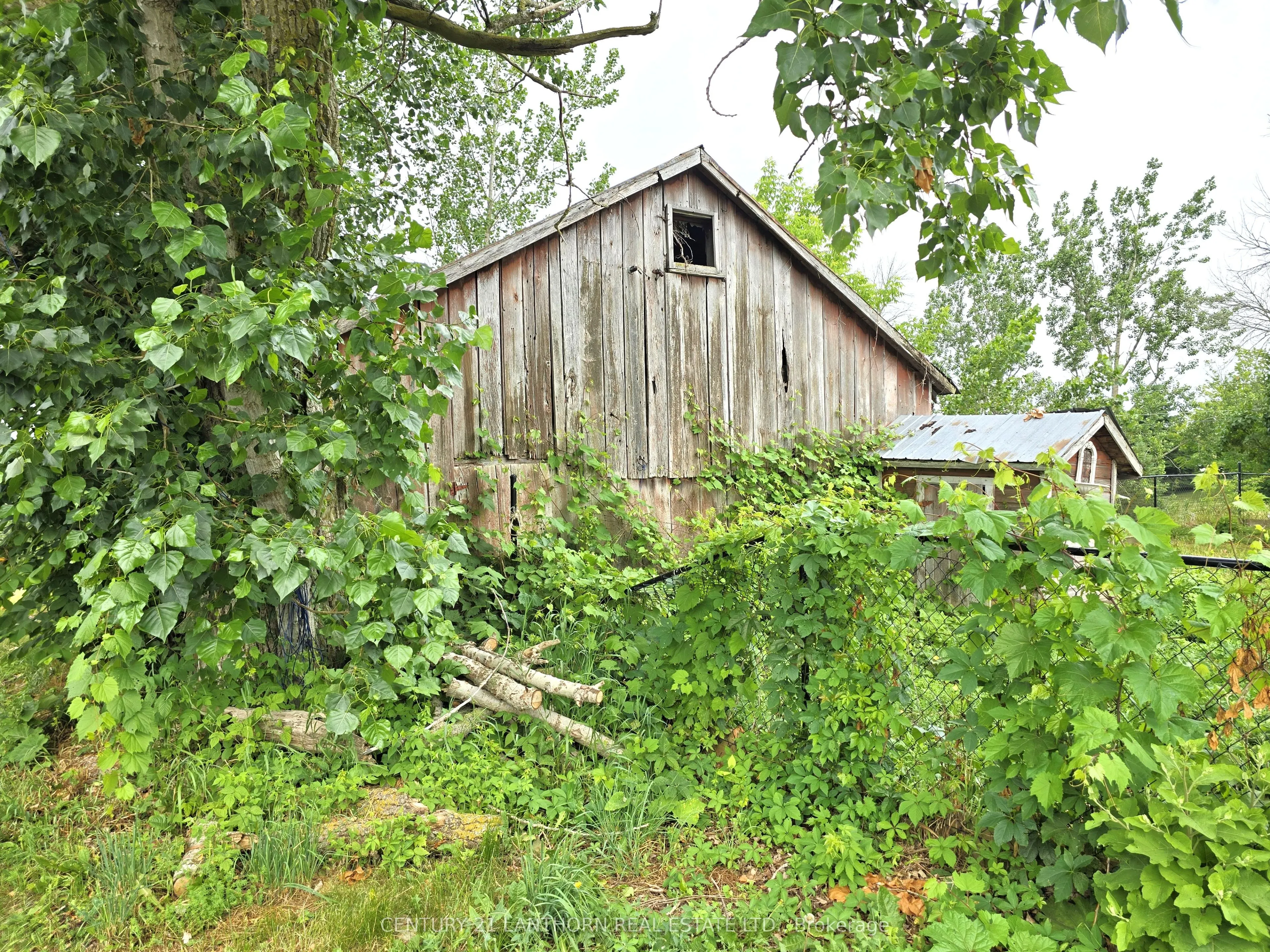 145 Mount Pleasant Road