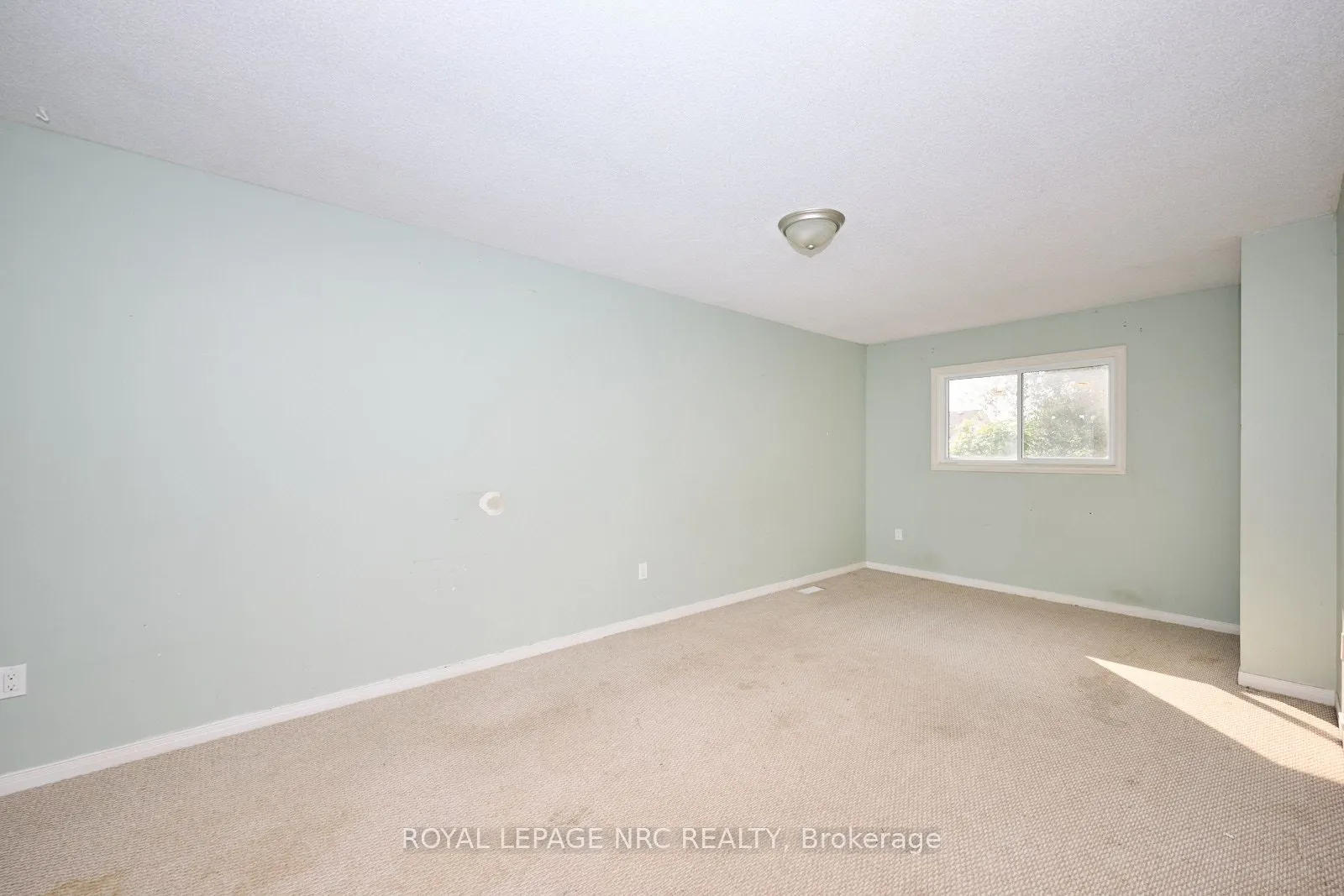 14 Buss Court