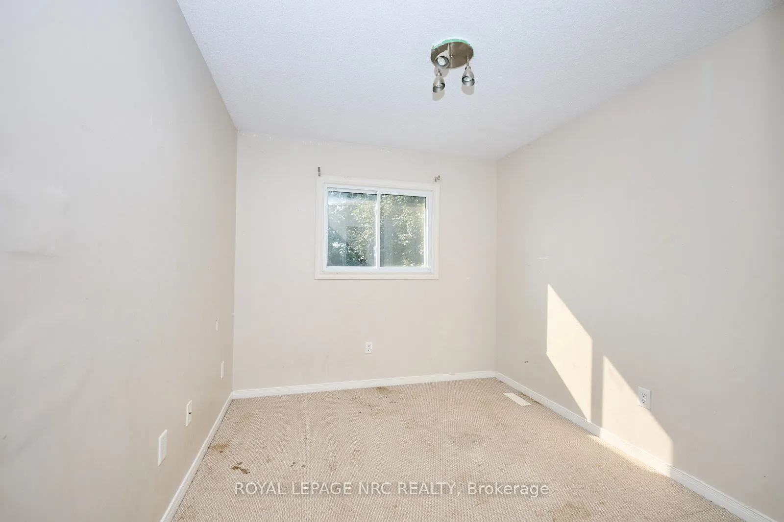 14 Buss Court