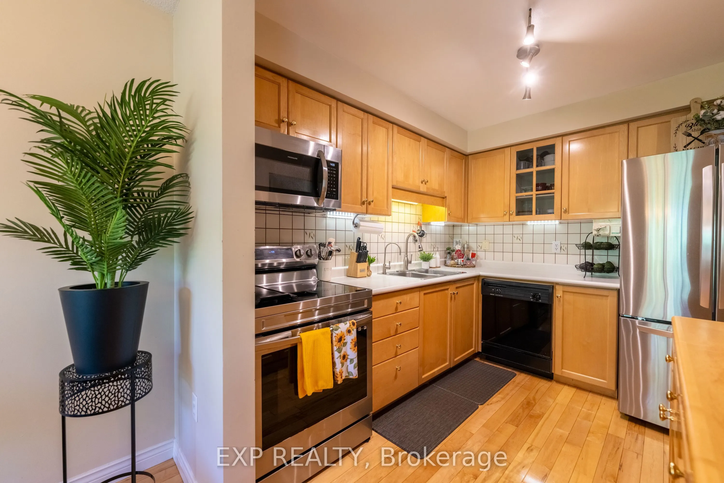44 Frances Avenue, #28