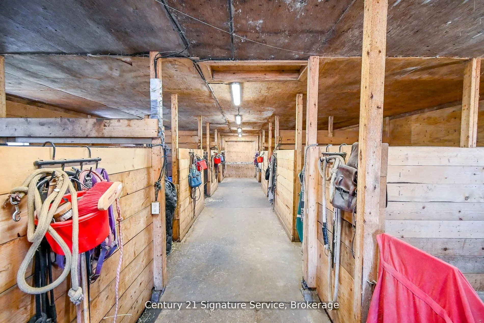 752 Empire Road, #Farm