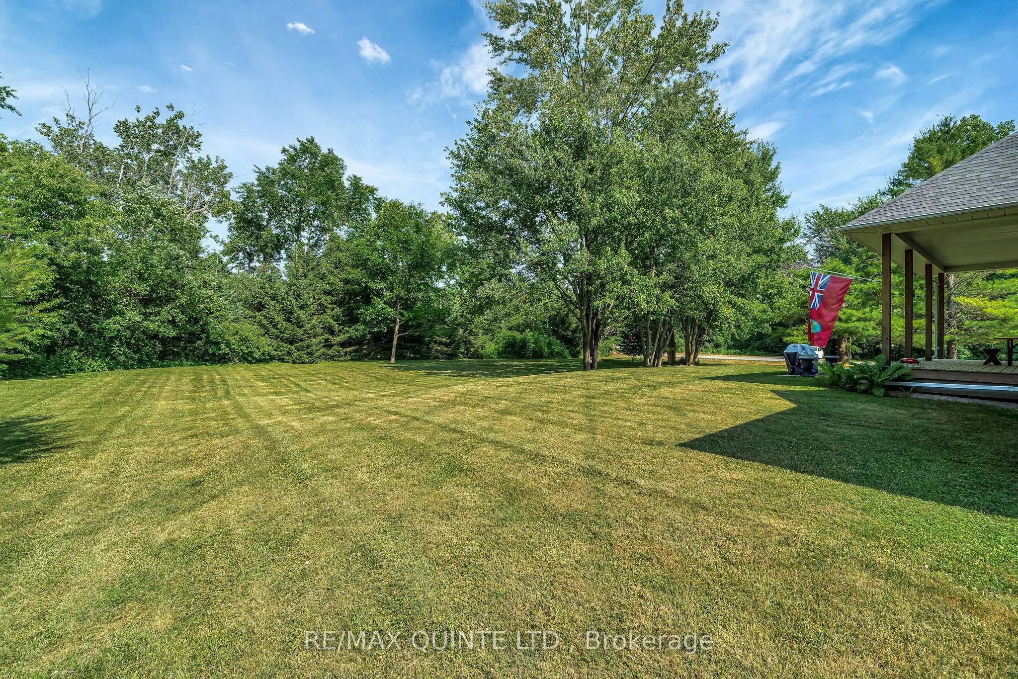 49 Penny Lane
