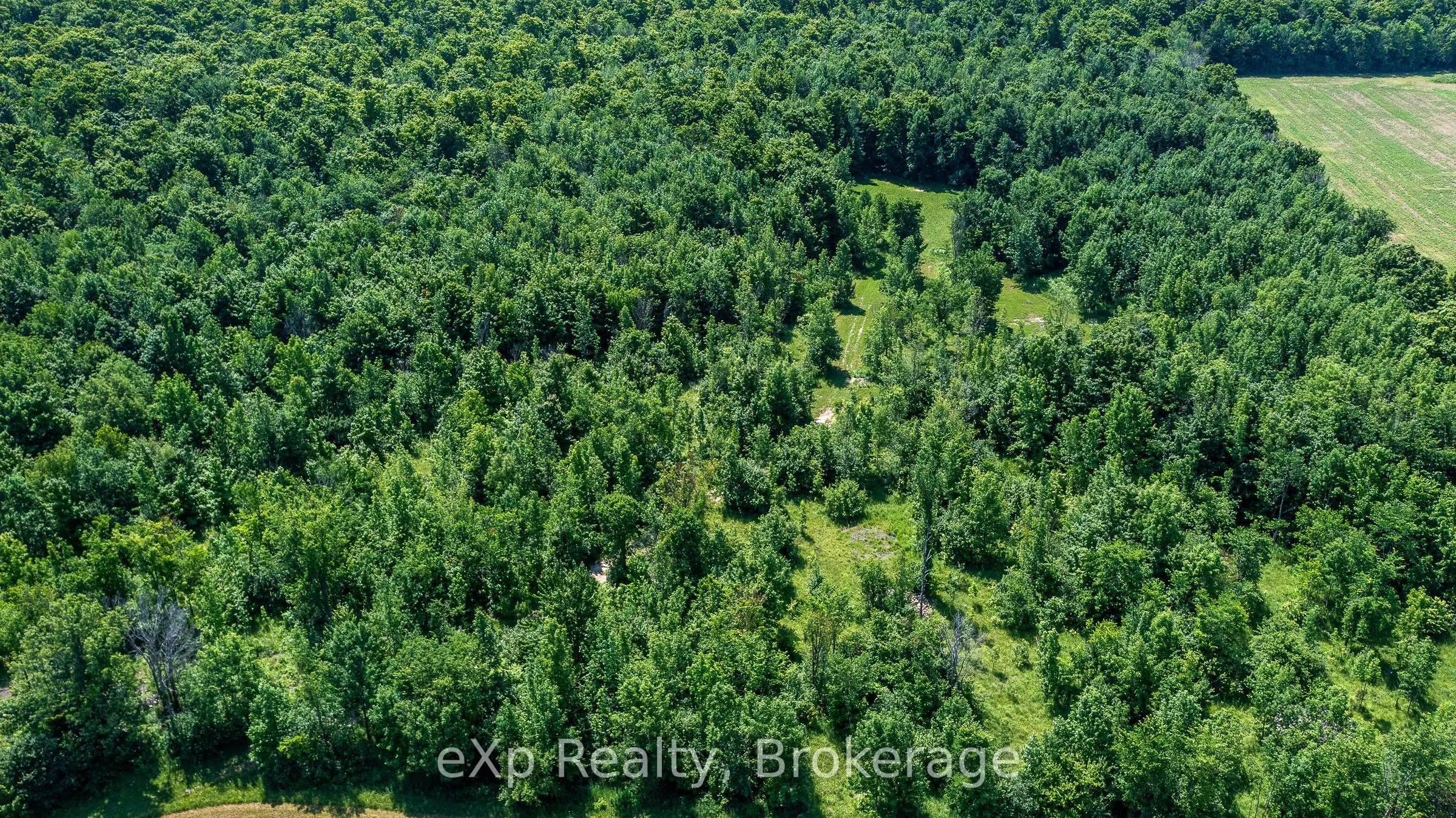463086 Concession 24