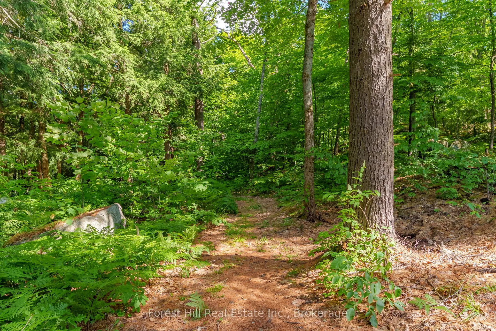 1 SL 19 ROBERTS Island