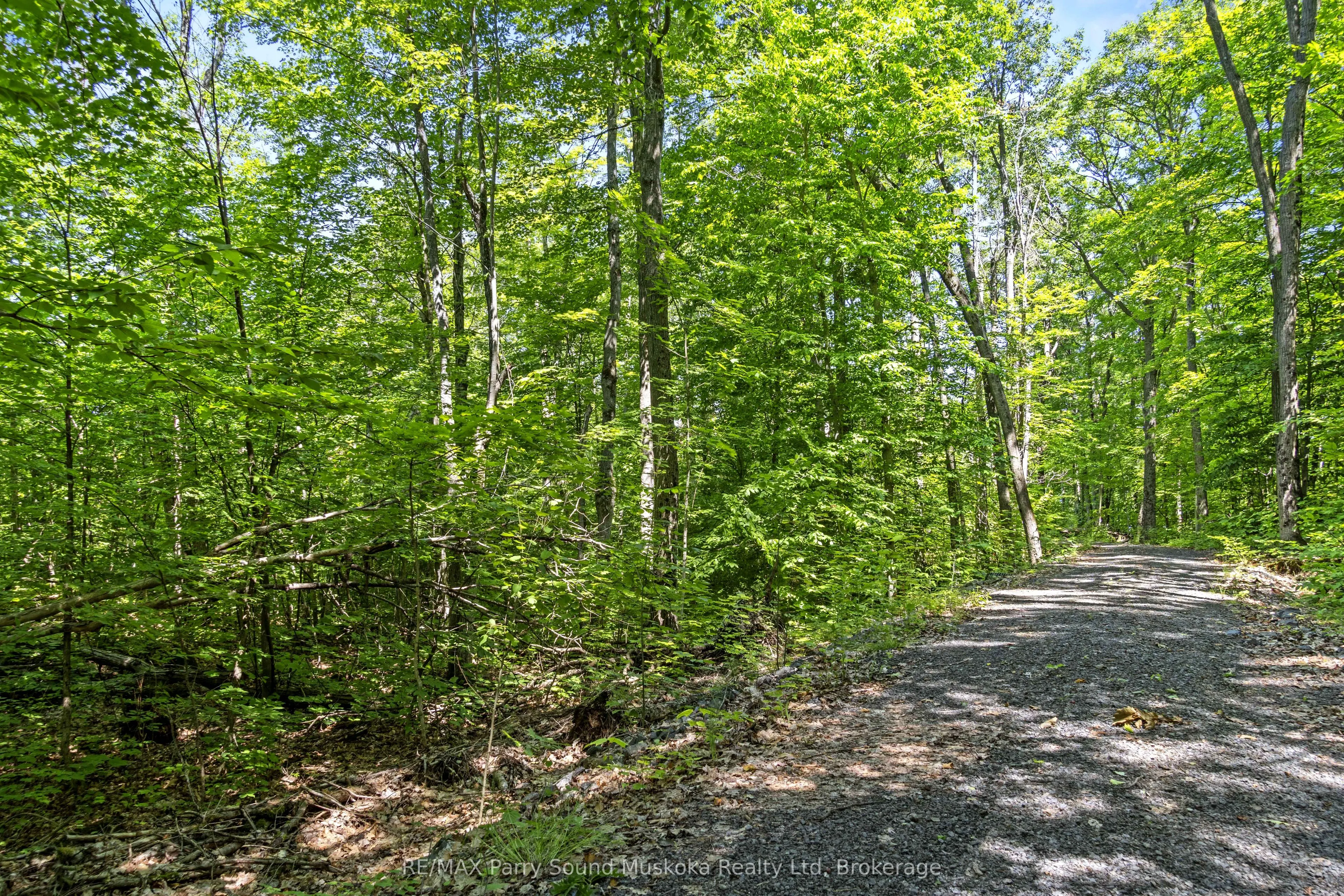 38 Fun Cottage Lane