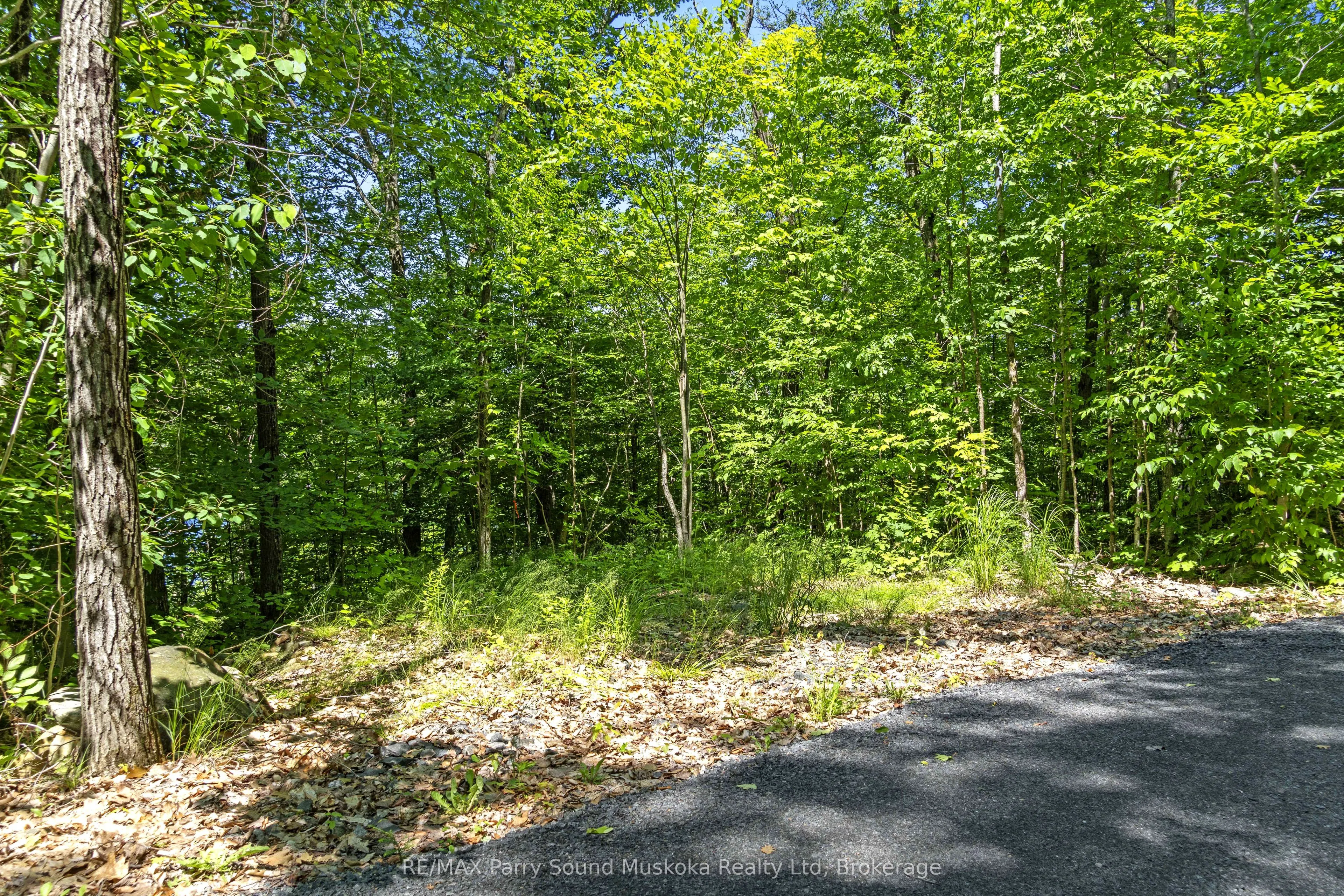 38 Fun Cottage Lane
