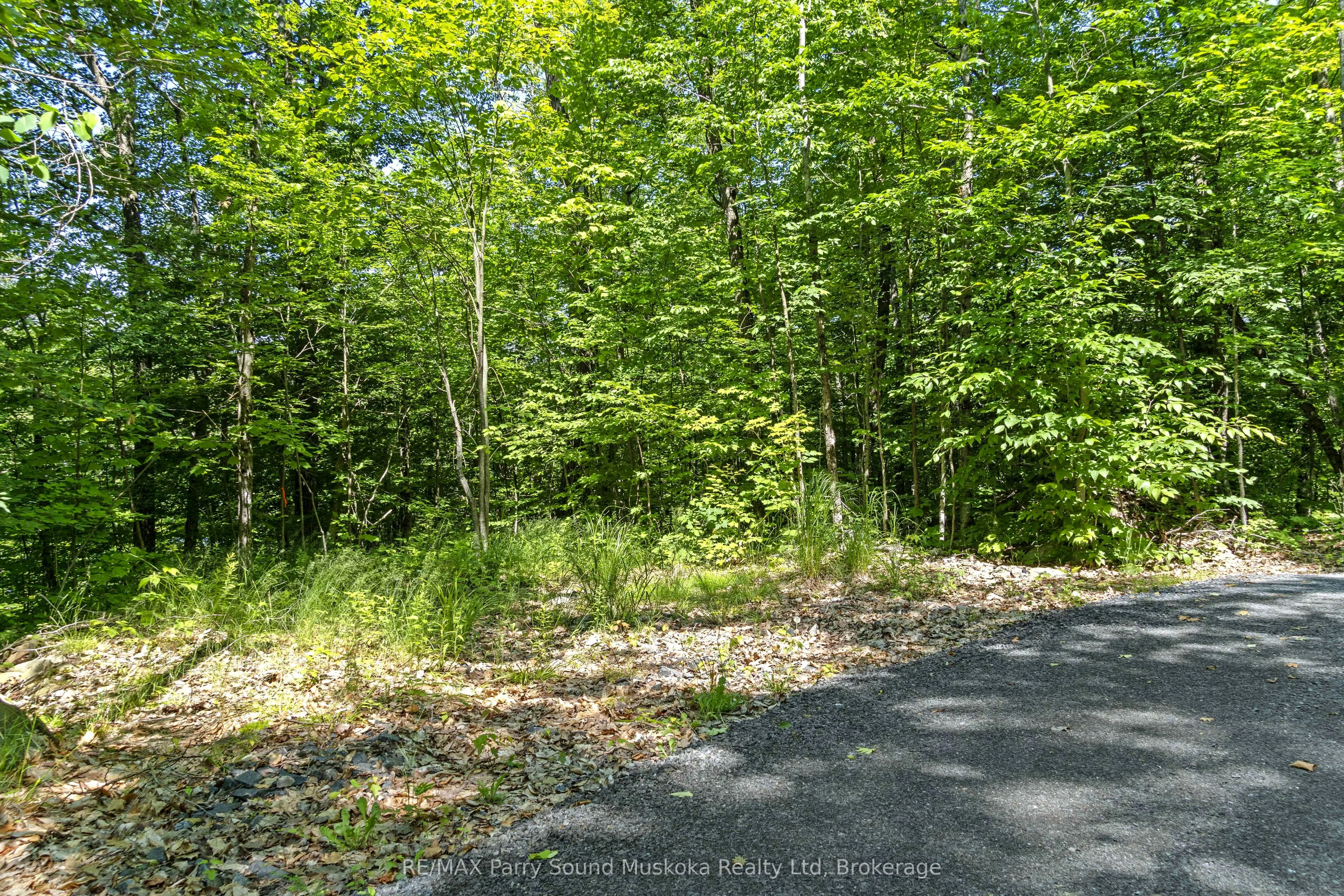 38 Fun Cottage Lane