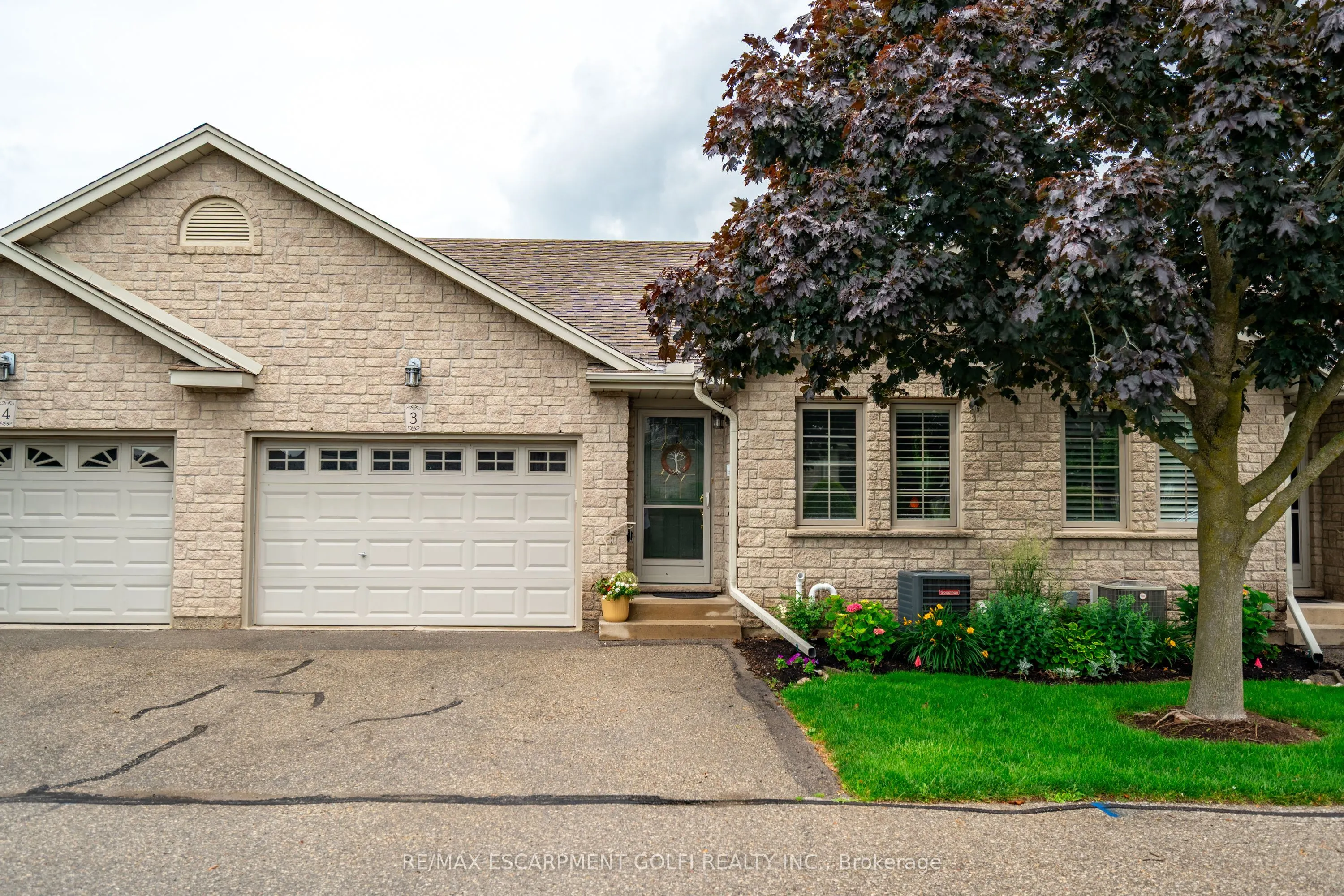 19 Hanlon Place, #3