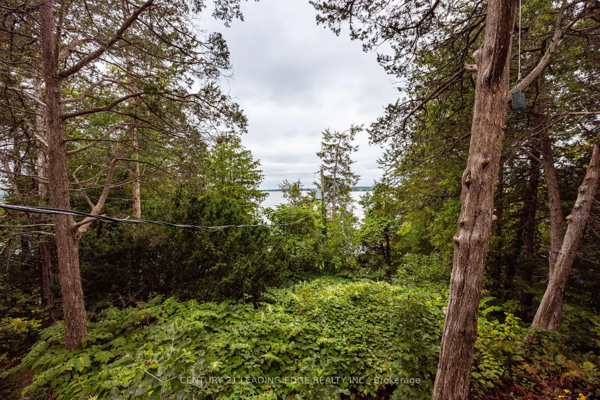 2385A COUNTY ROAD 9