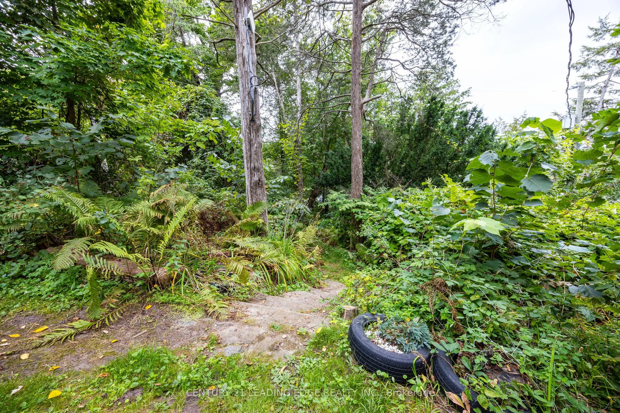 2385A COUNTY ROAD 9