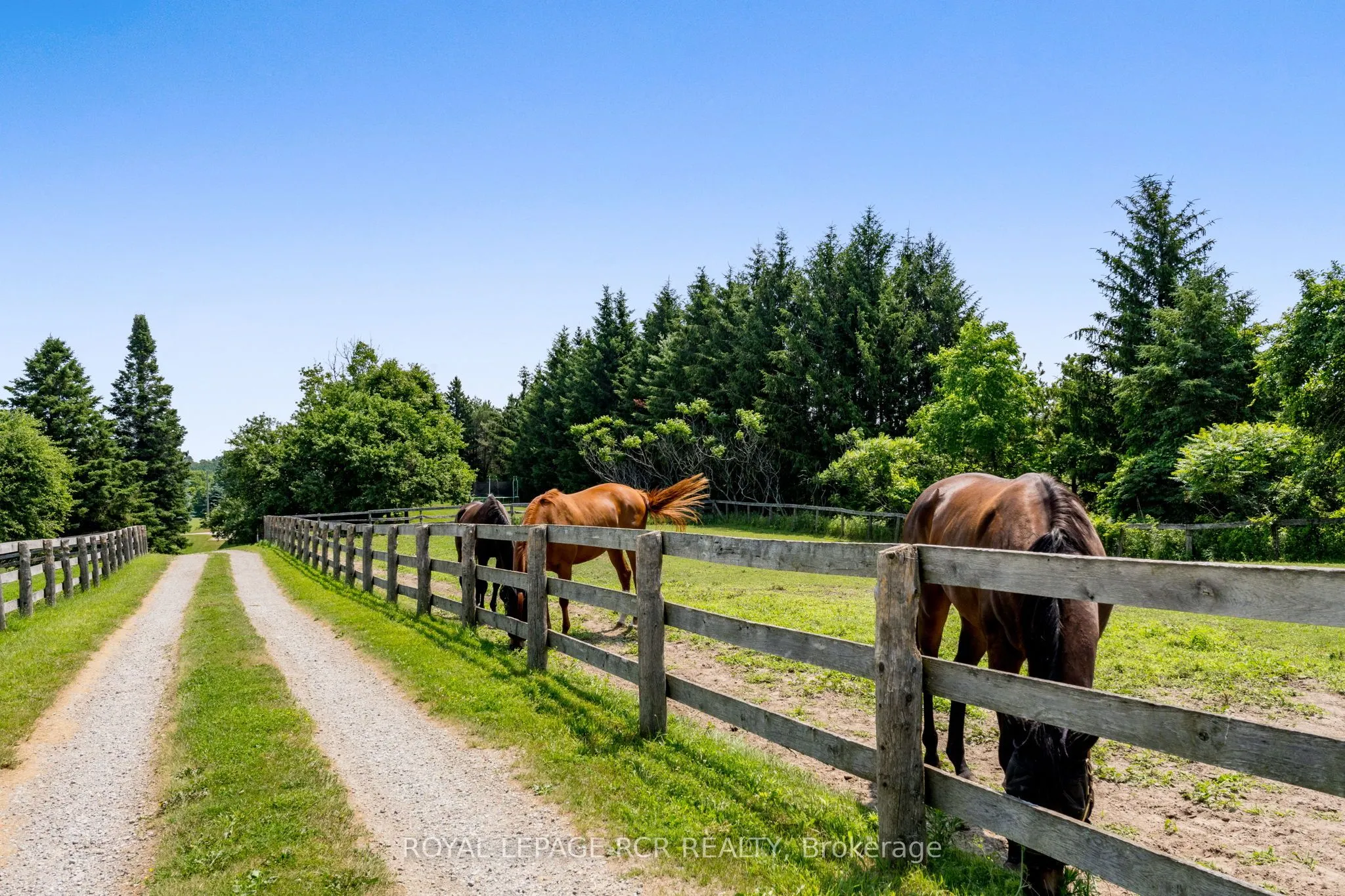 994034 Mono/Adjala Townline Road