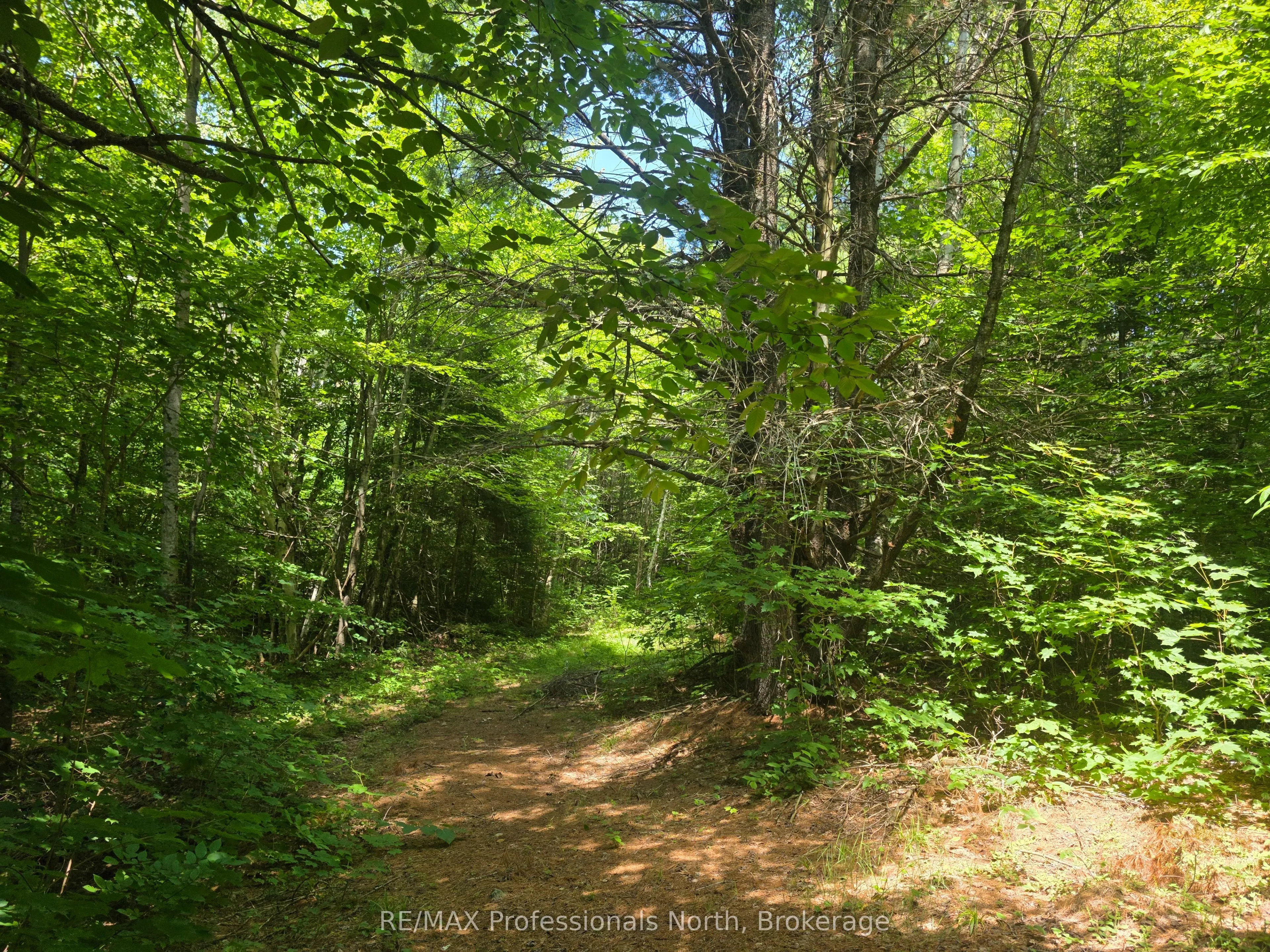 1134 Walkers Line Road