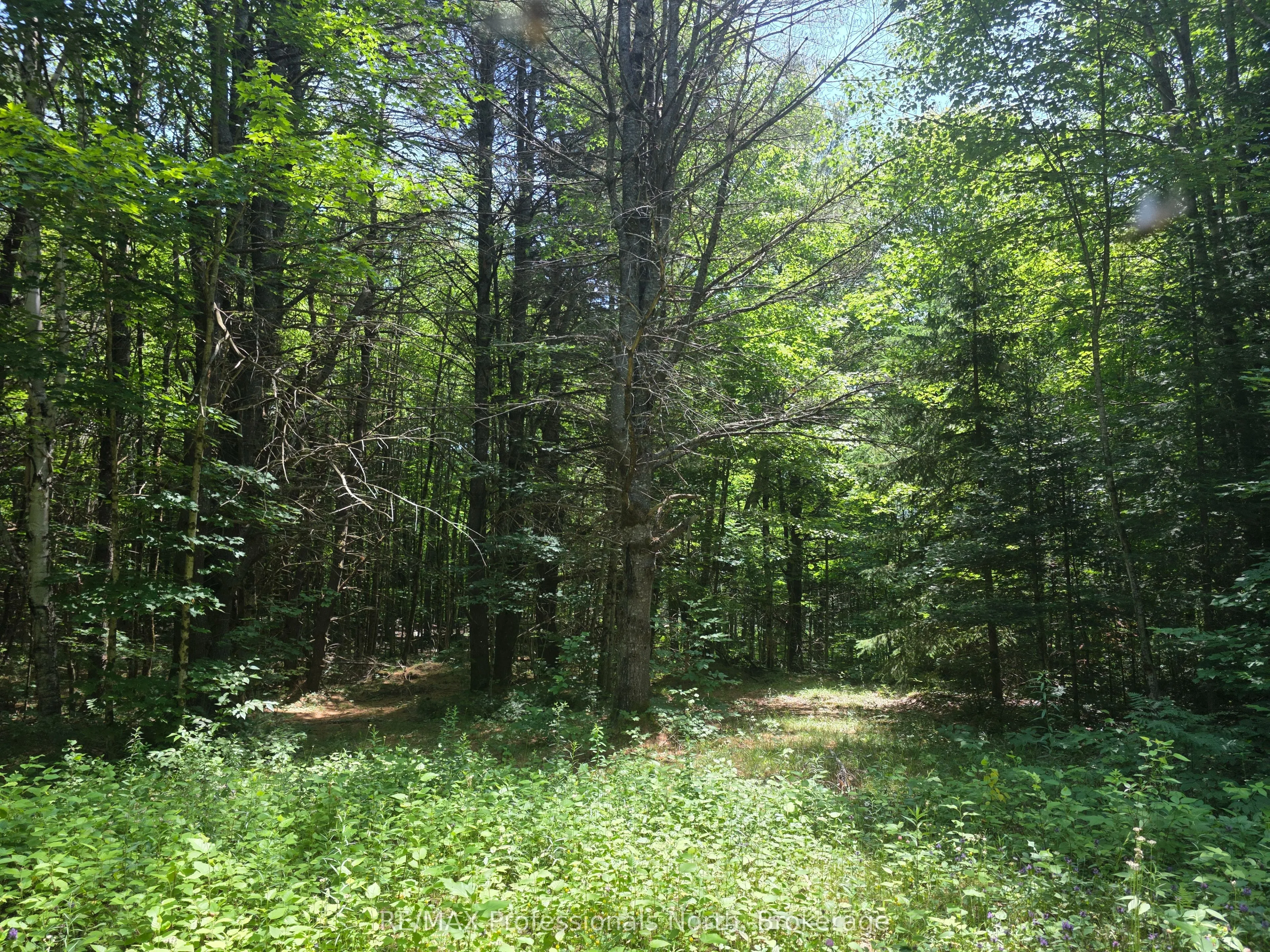 1134 Walkers Line Road