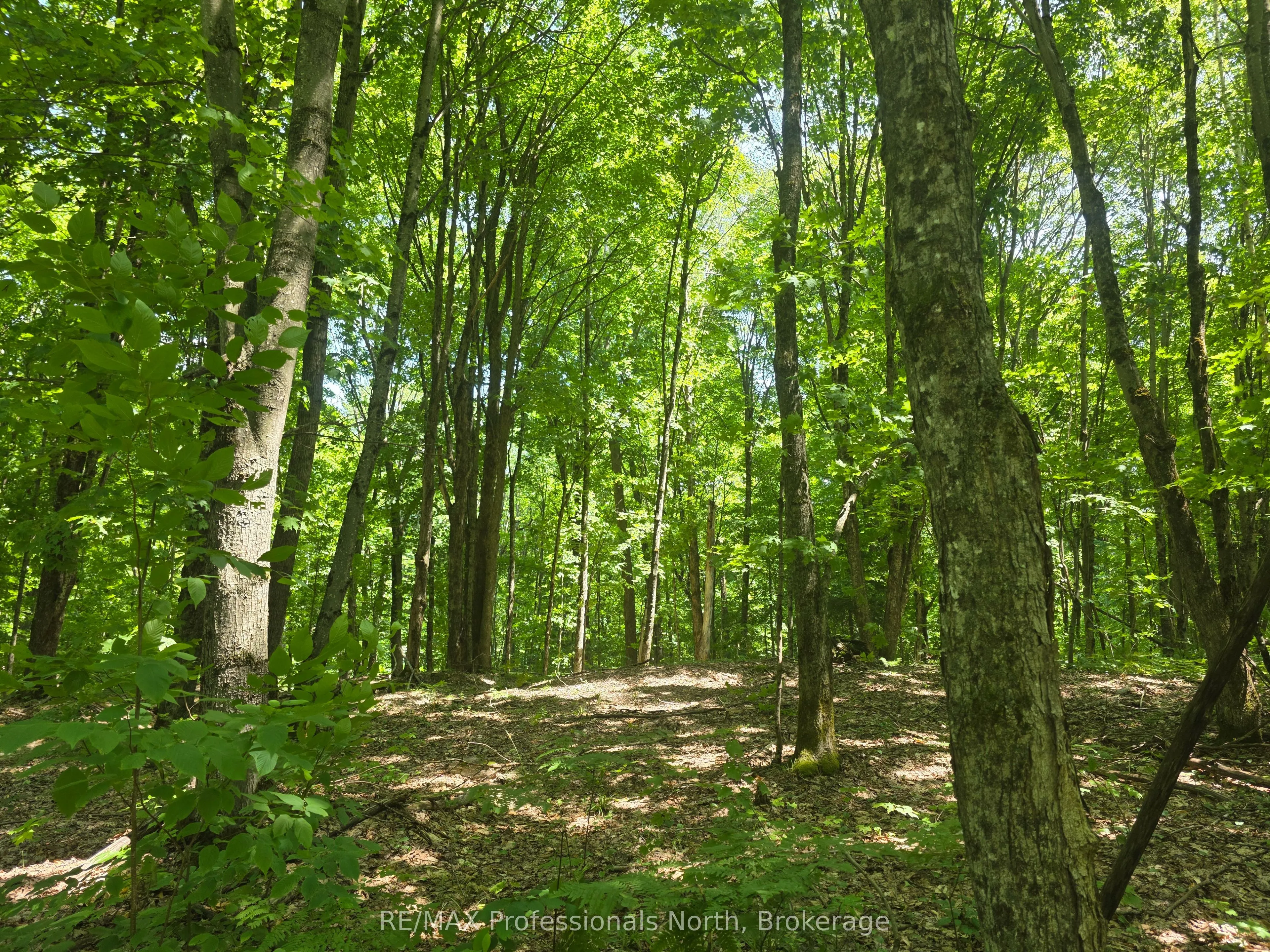 1134 Walkers Line Road