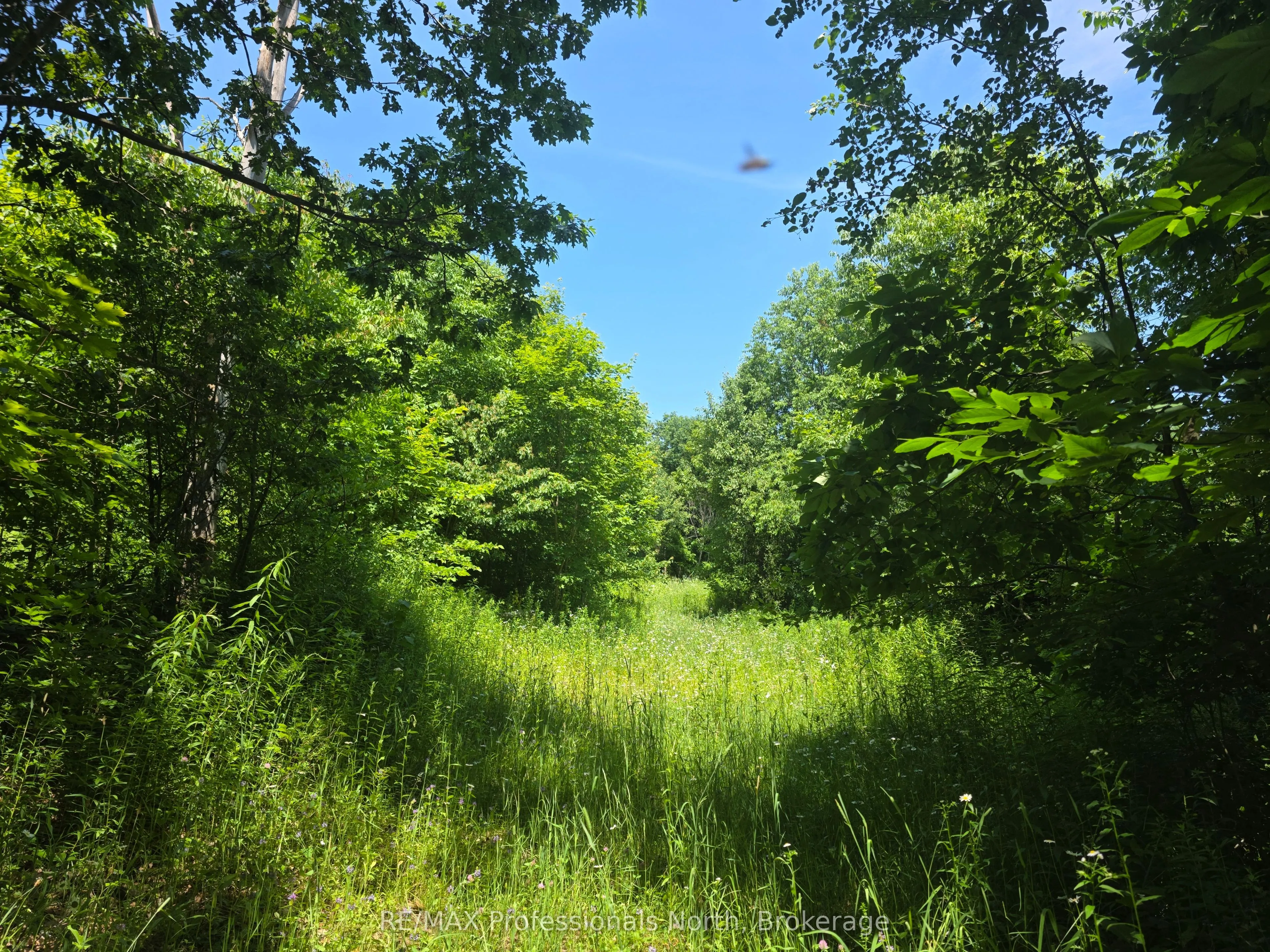 1134 Walkers Line Road