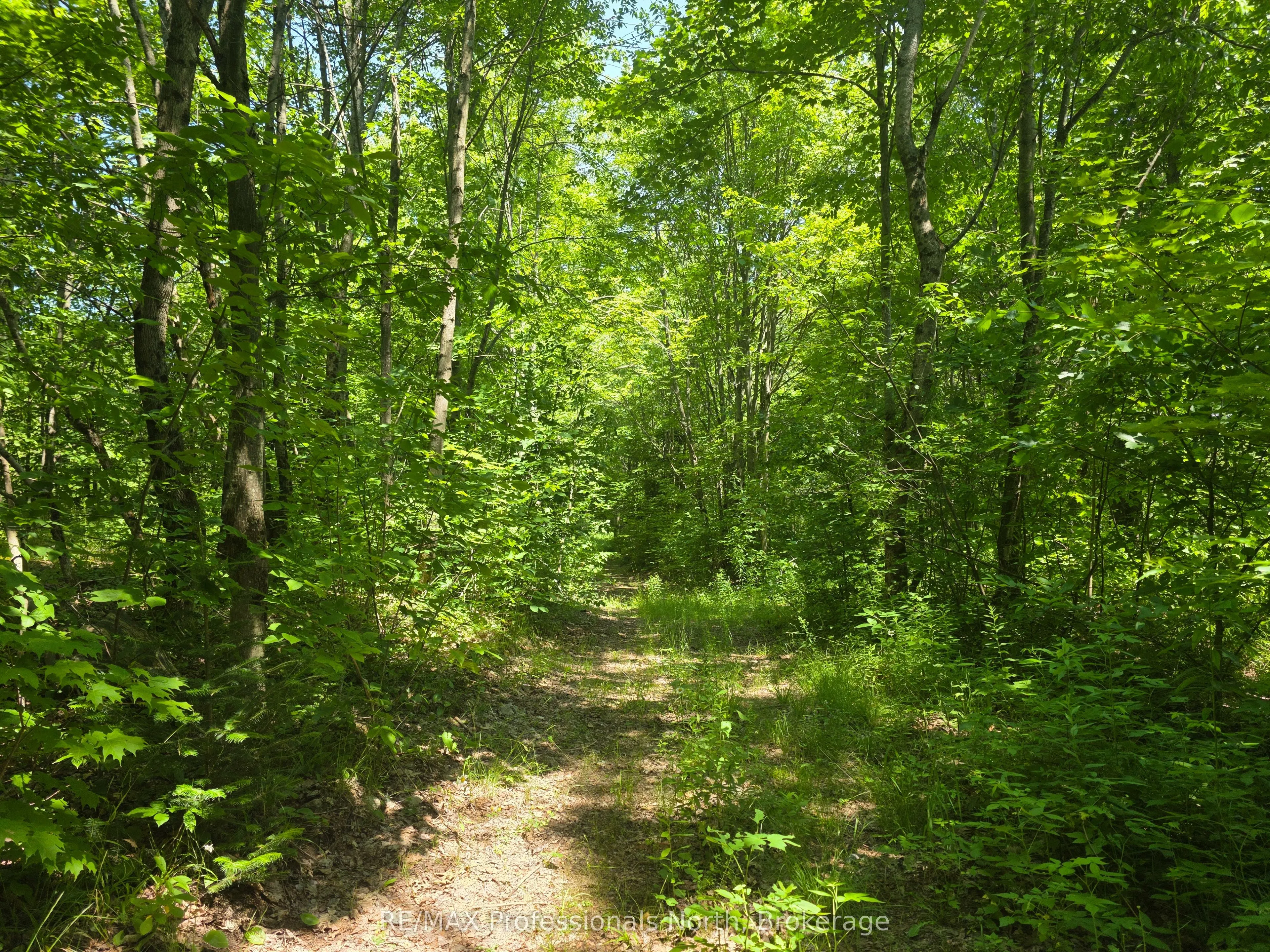 1134 Walkers Line Road