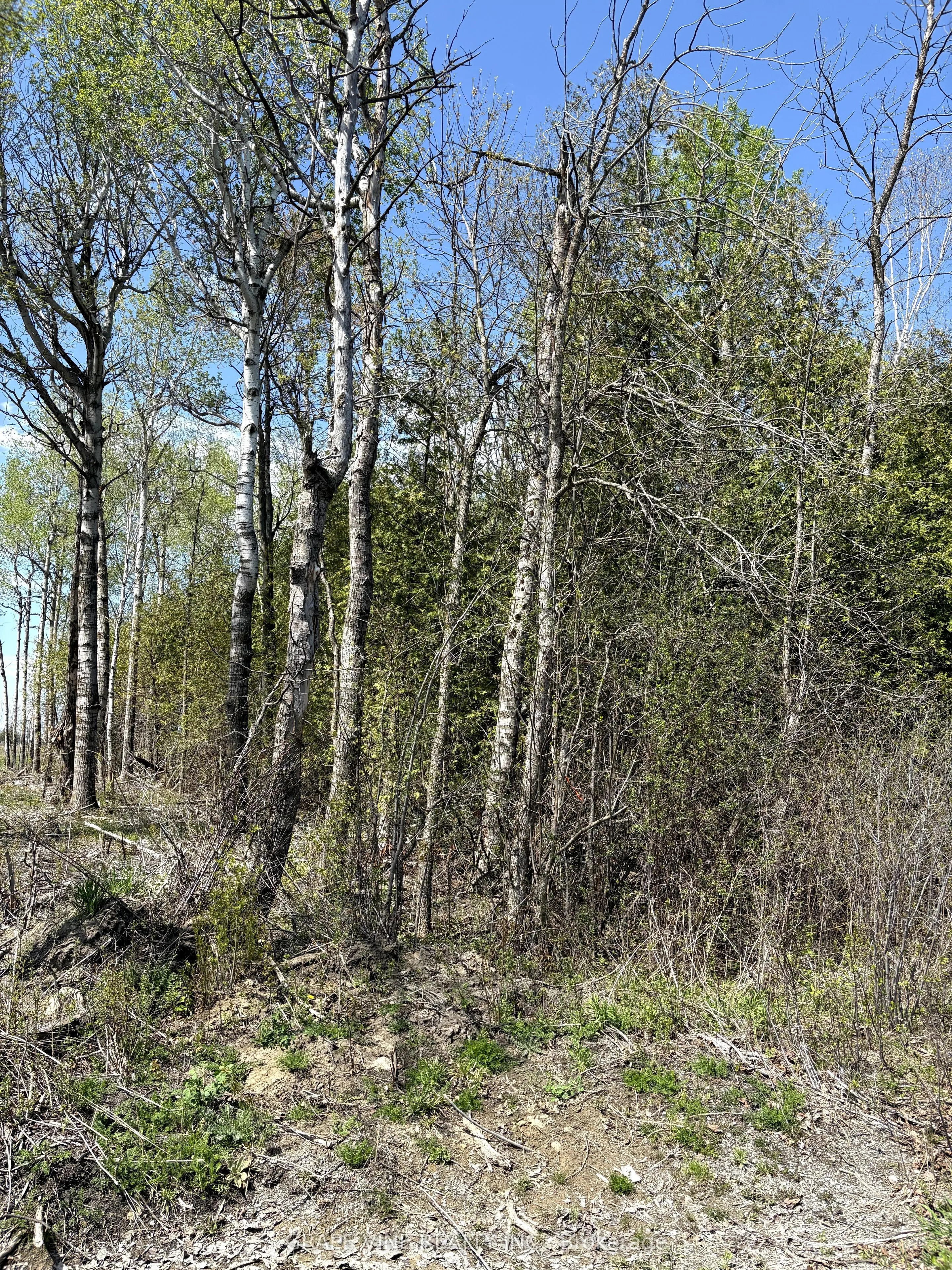 11865 (PtLt23) ARMSTRONG Road