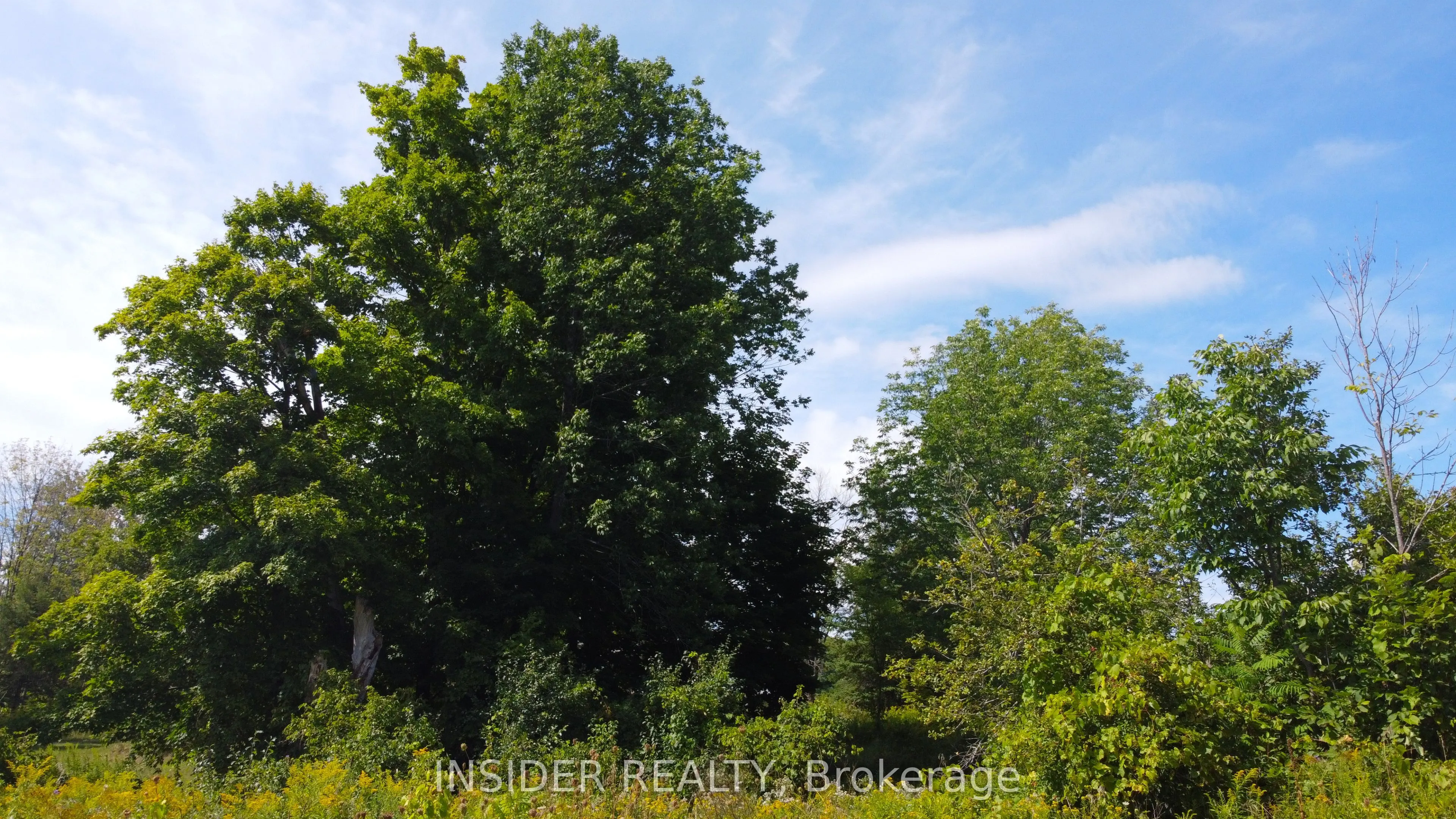 348 Concession Road 3 W