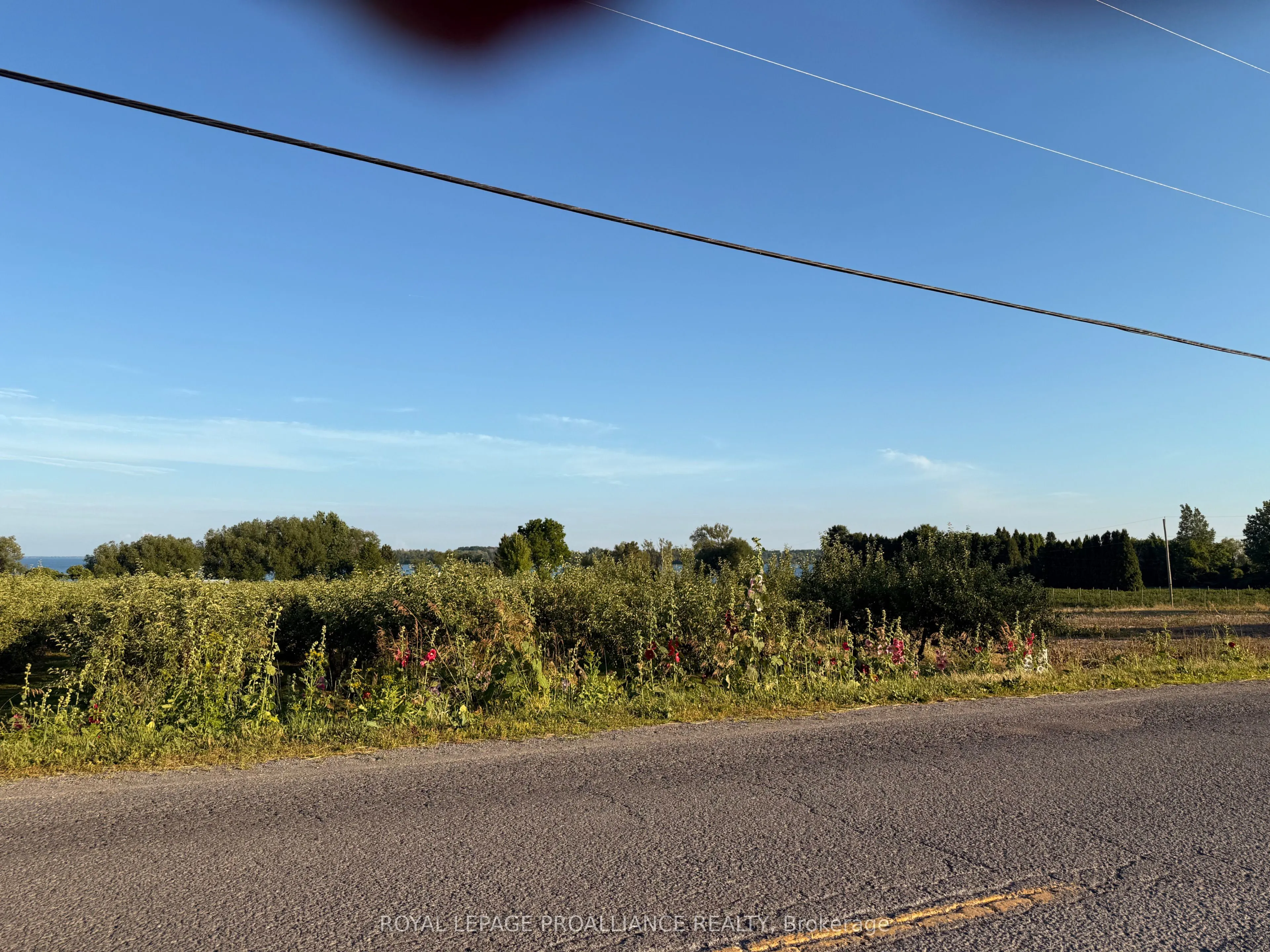 00 County Road 8