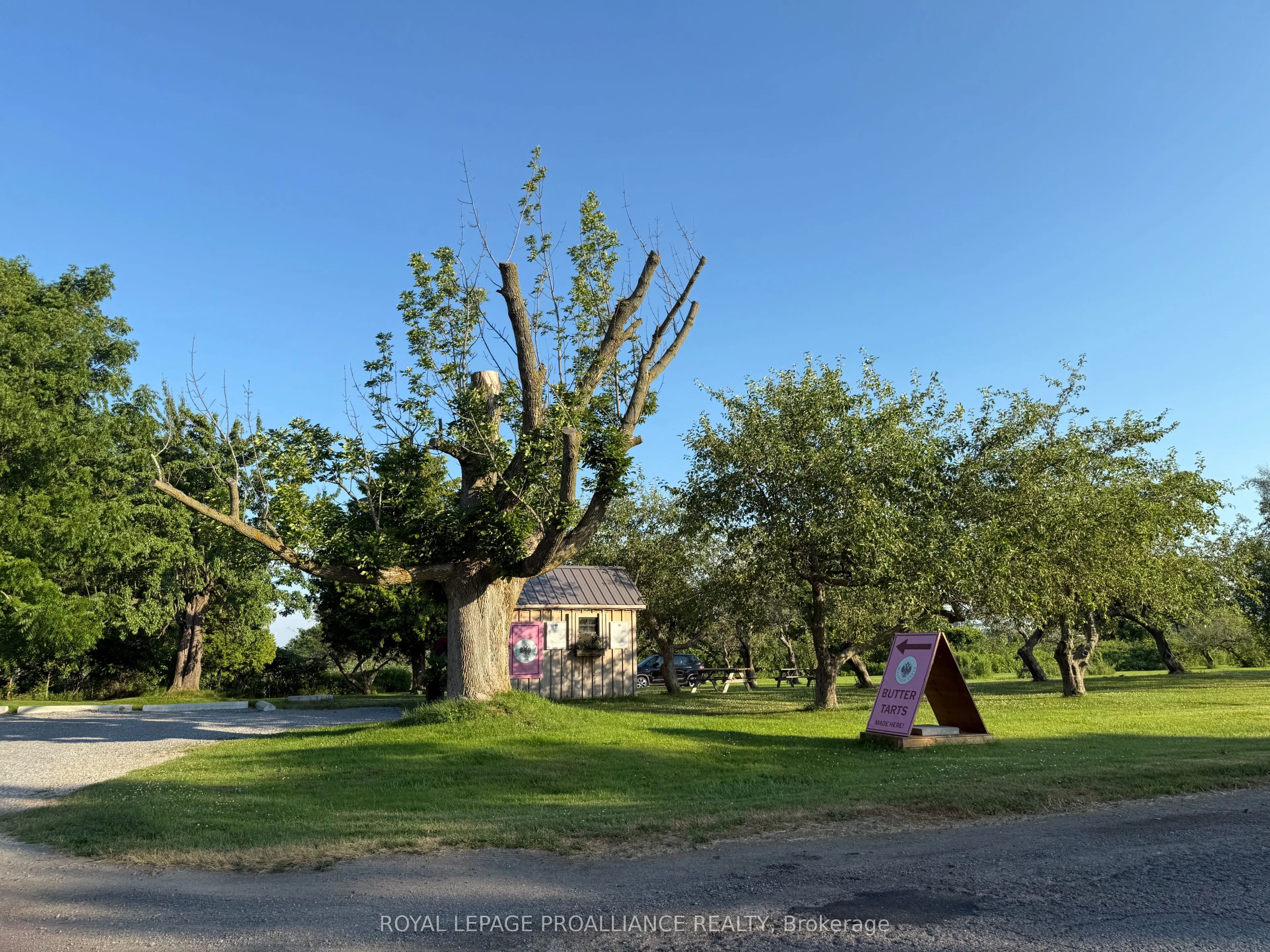 00 County Road 8