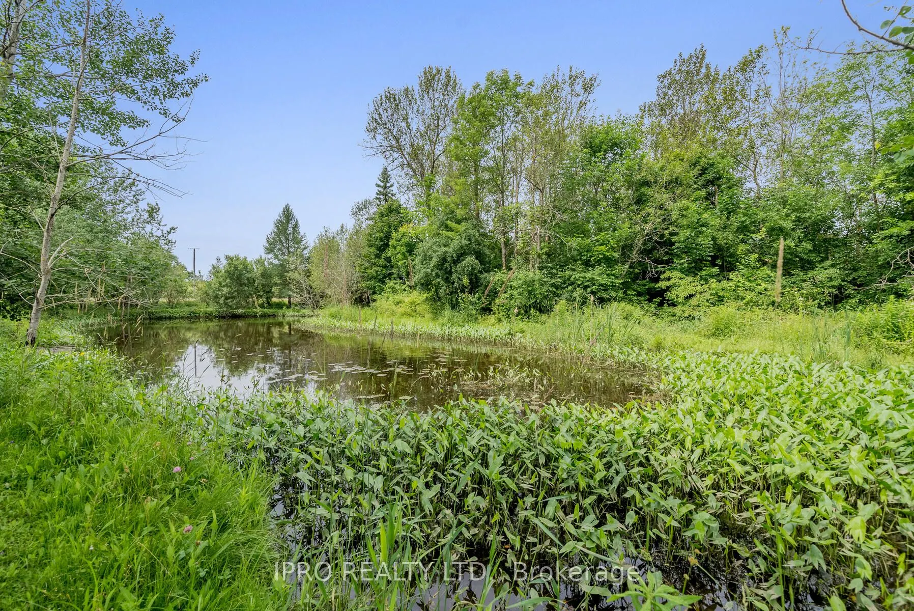 9206 Sideroad 17 Road