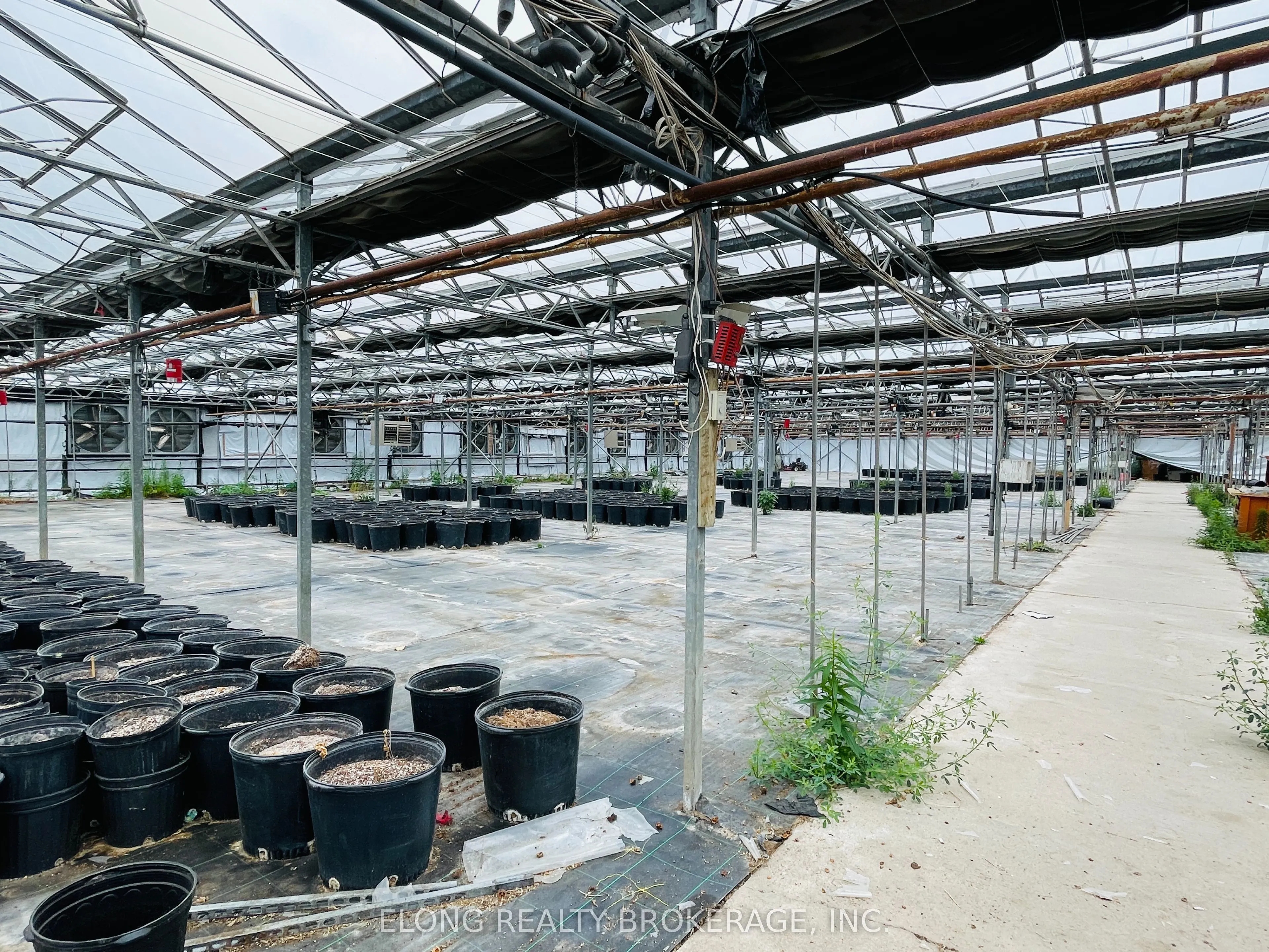 4390 South Service Road