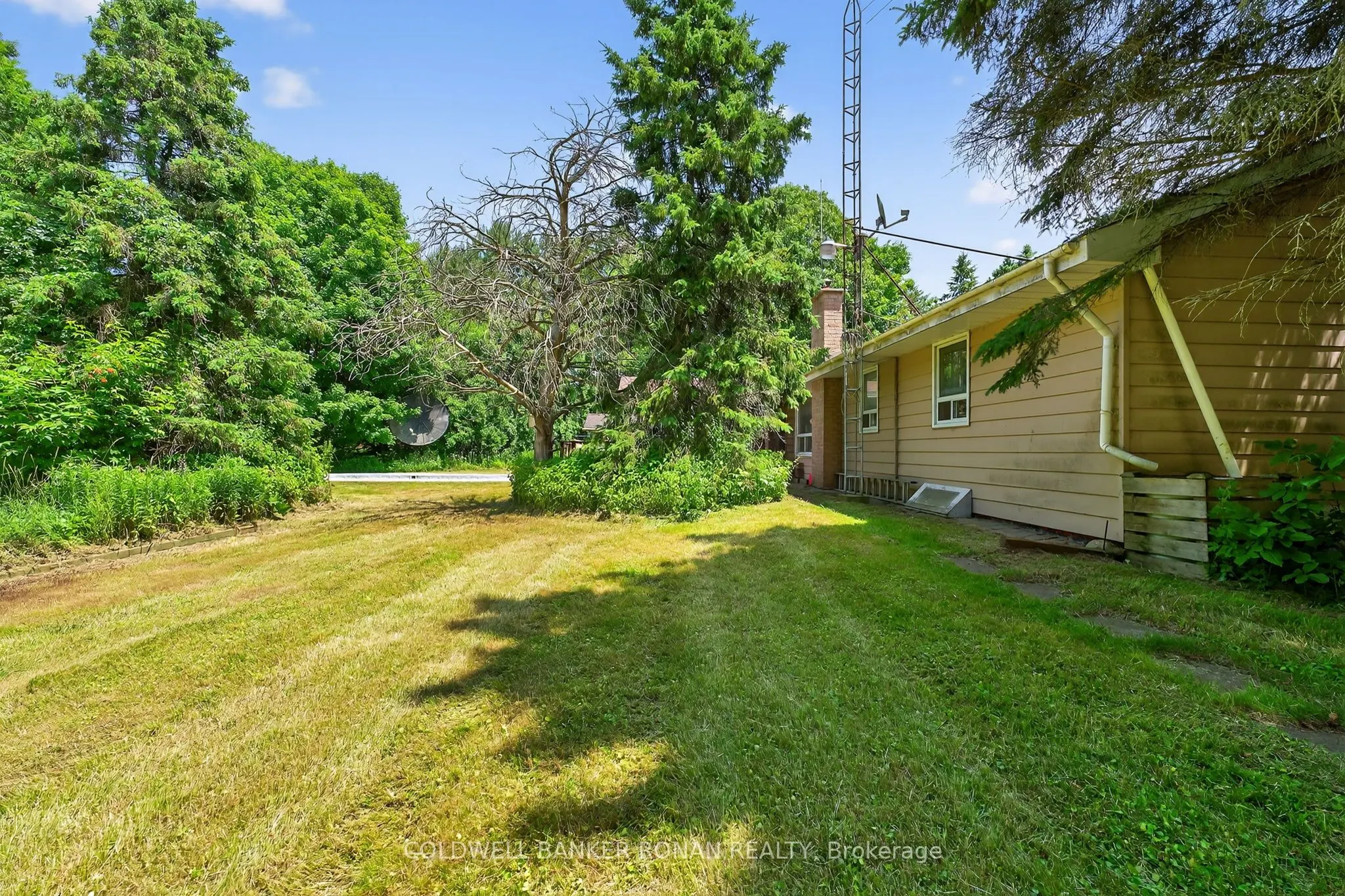 388055 Mono Center Road