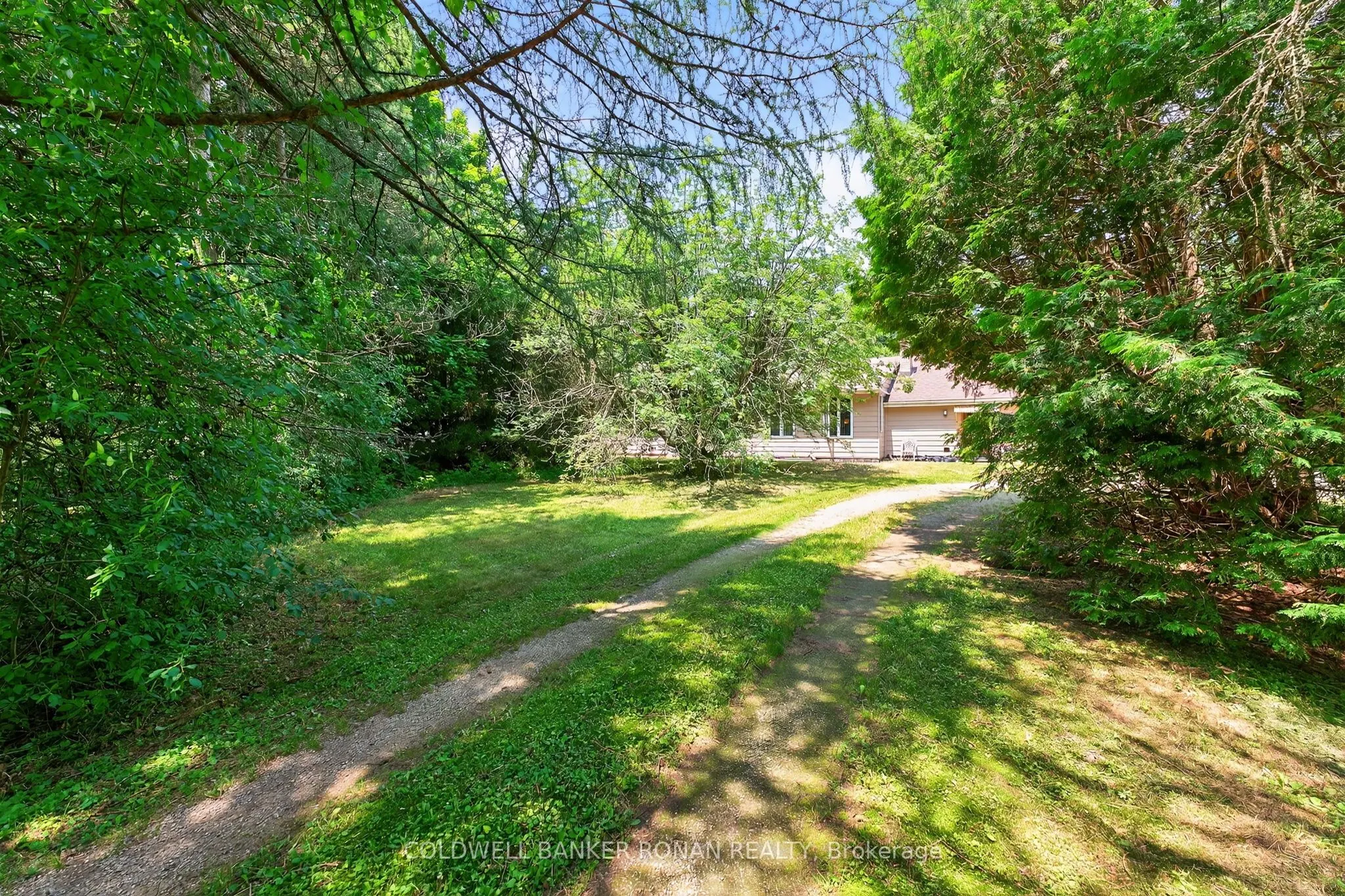 388055 Mono Center Road