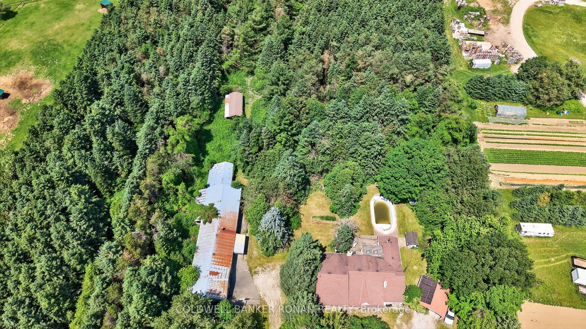 388055 Mono Center Road